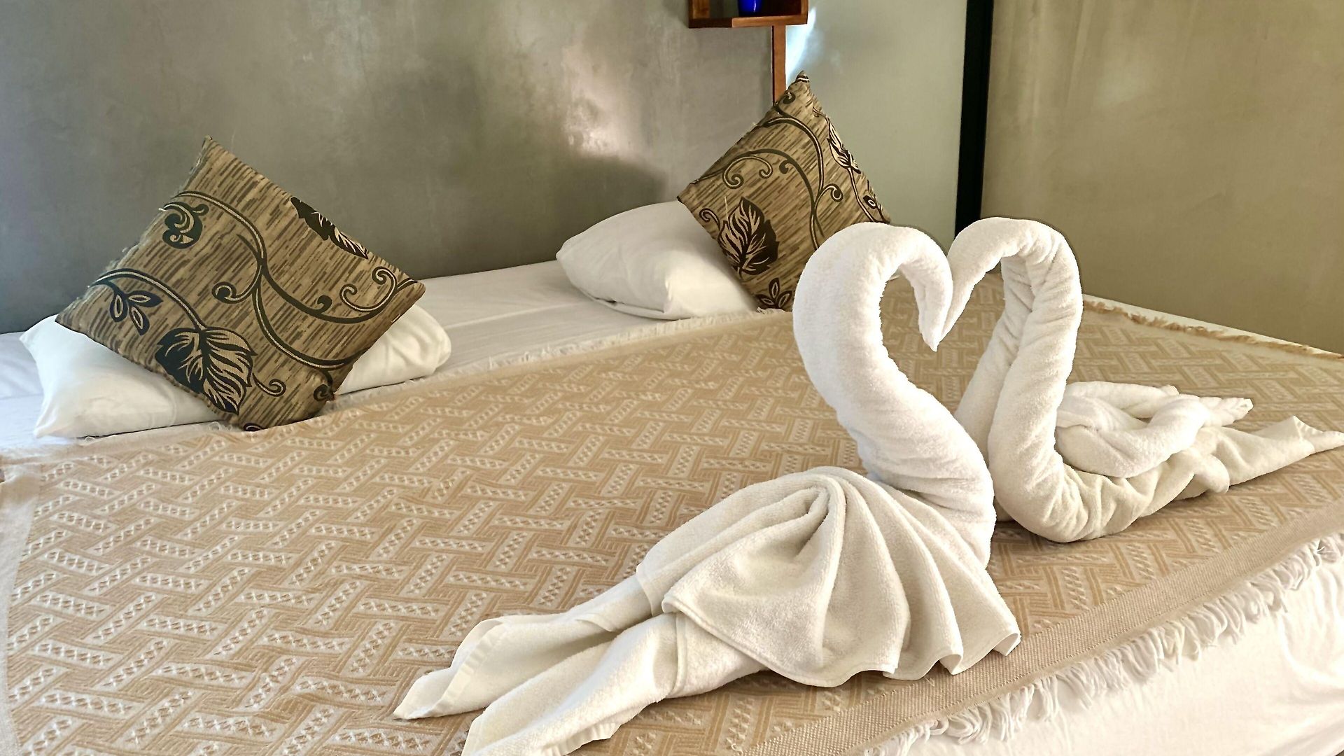 Hotel Pacha Boutique 4*