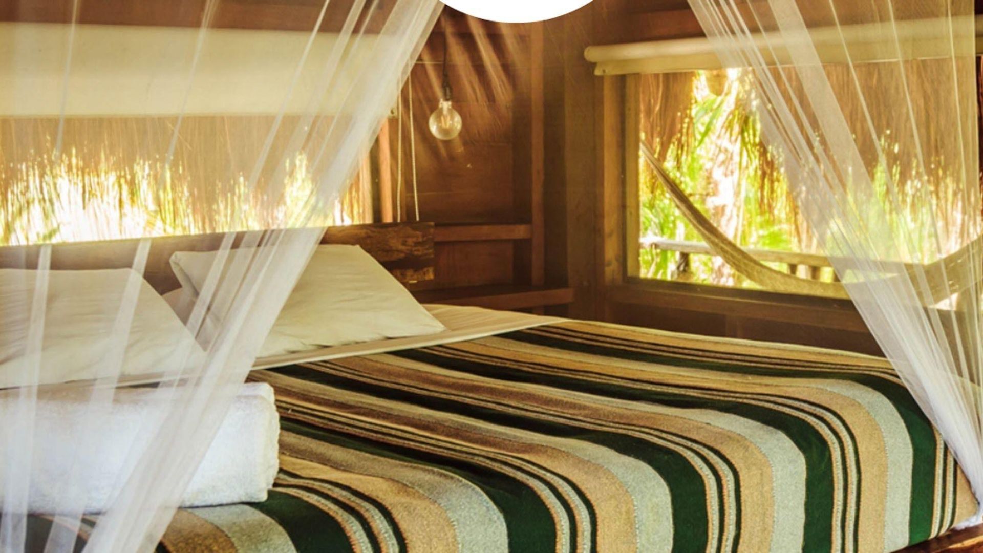 Vida Silvestre * Tulum