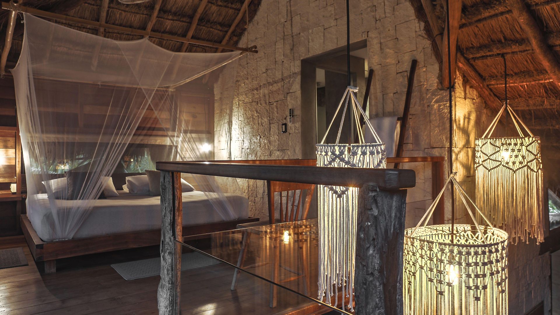 Vida Silvestre * Tulum