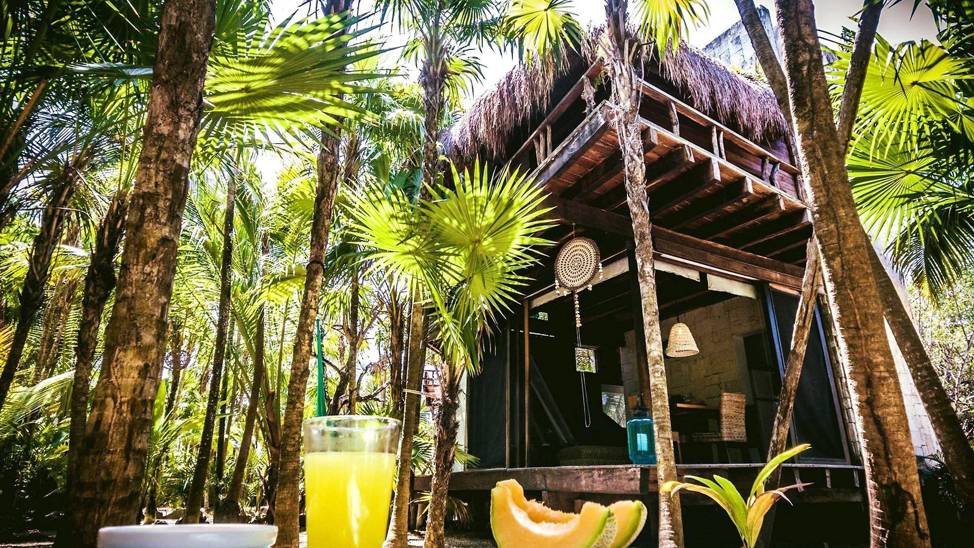 Lodge Vida Silvestre