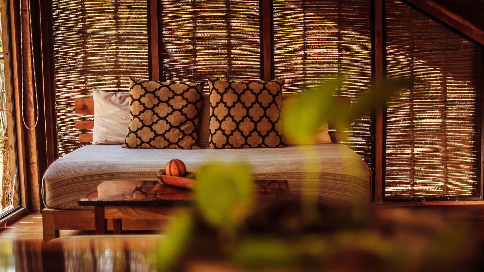 Lodge Vida Silvestre