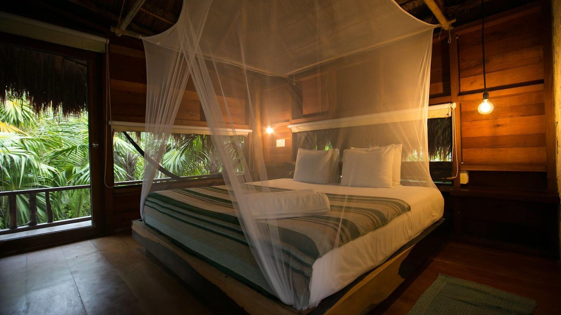 Vida Silvestre * Tulum