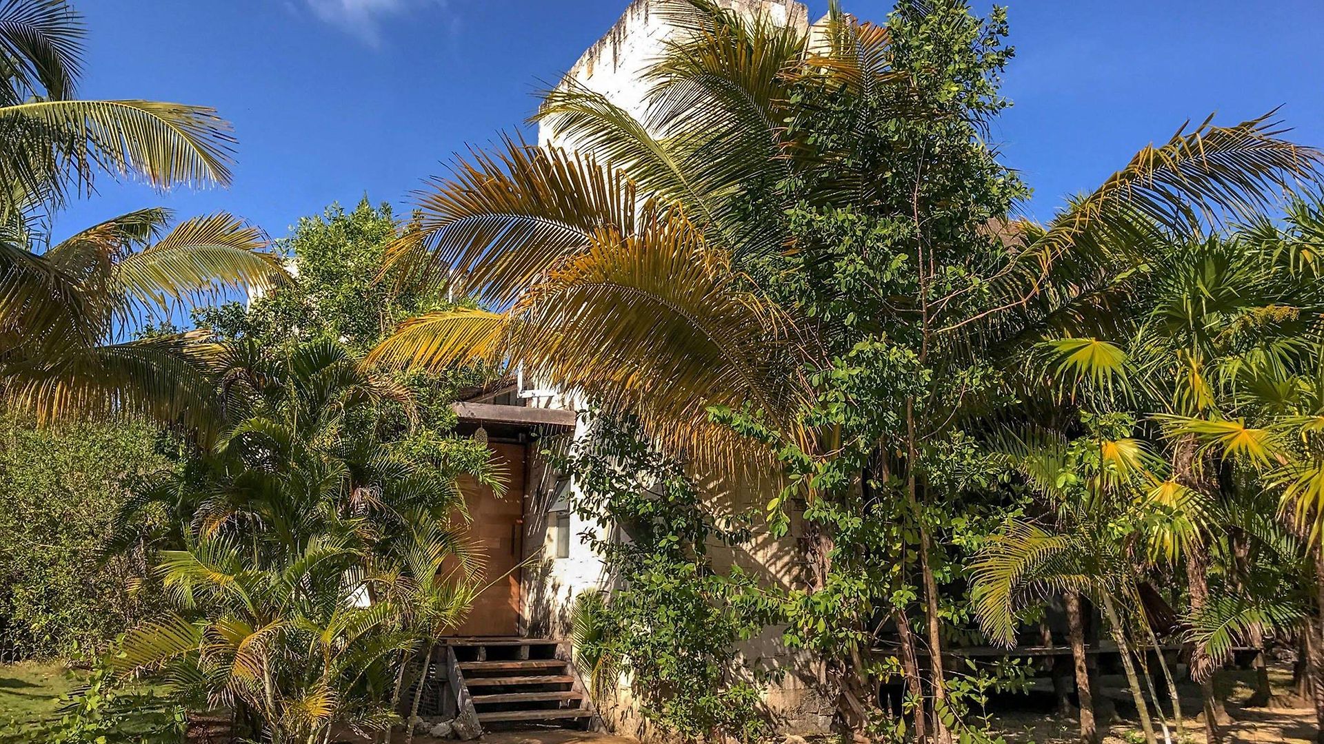 Lodge Vida Silvestre *