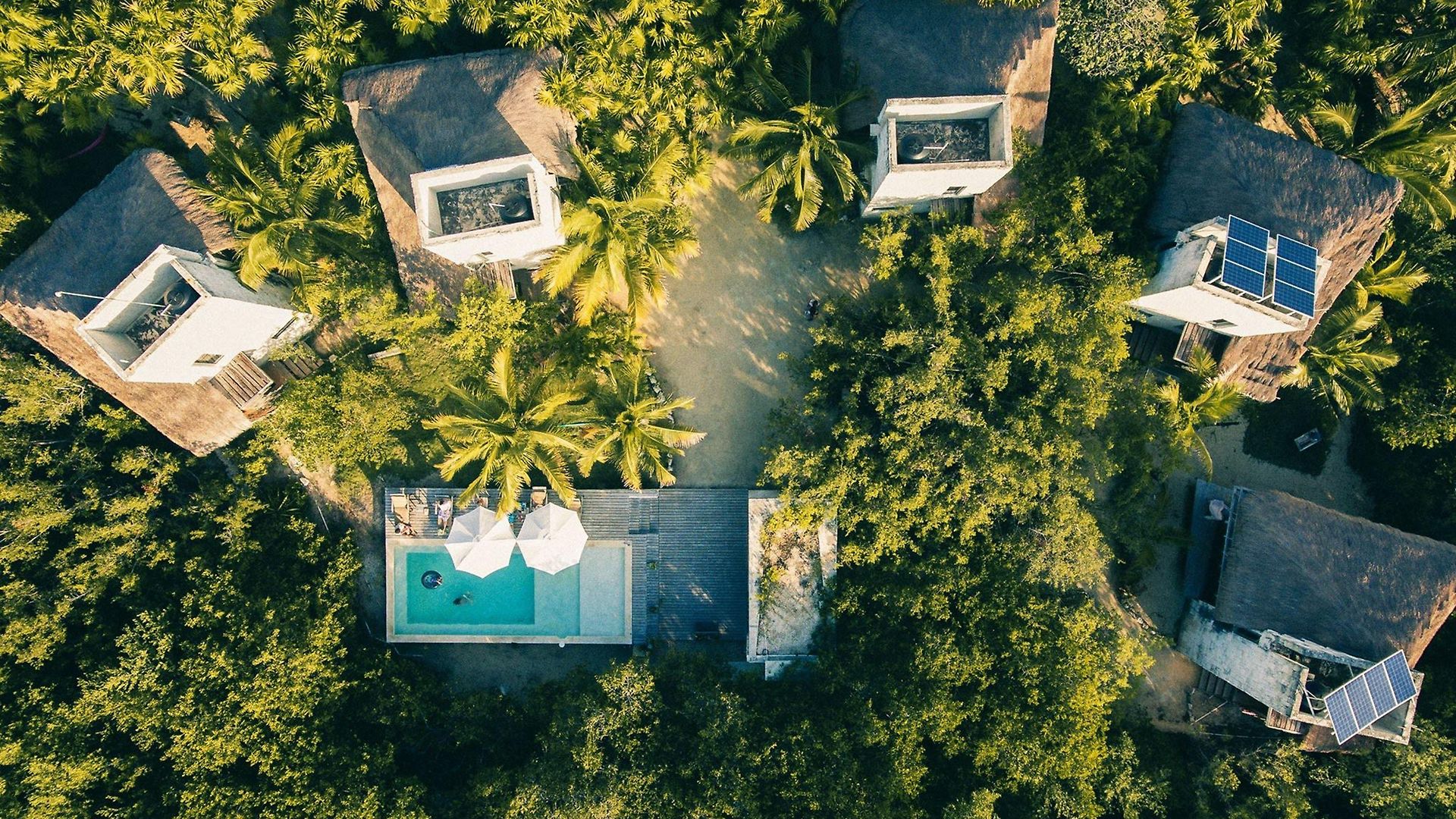 Vida Silvestre Tulum