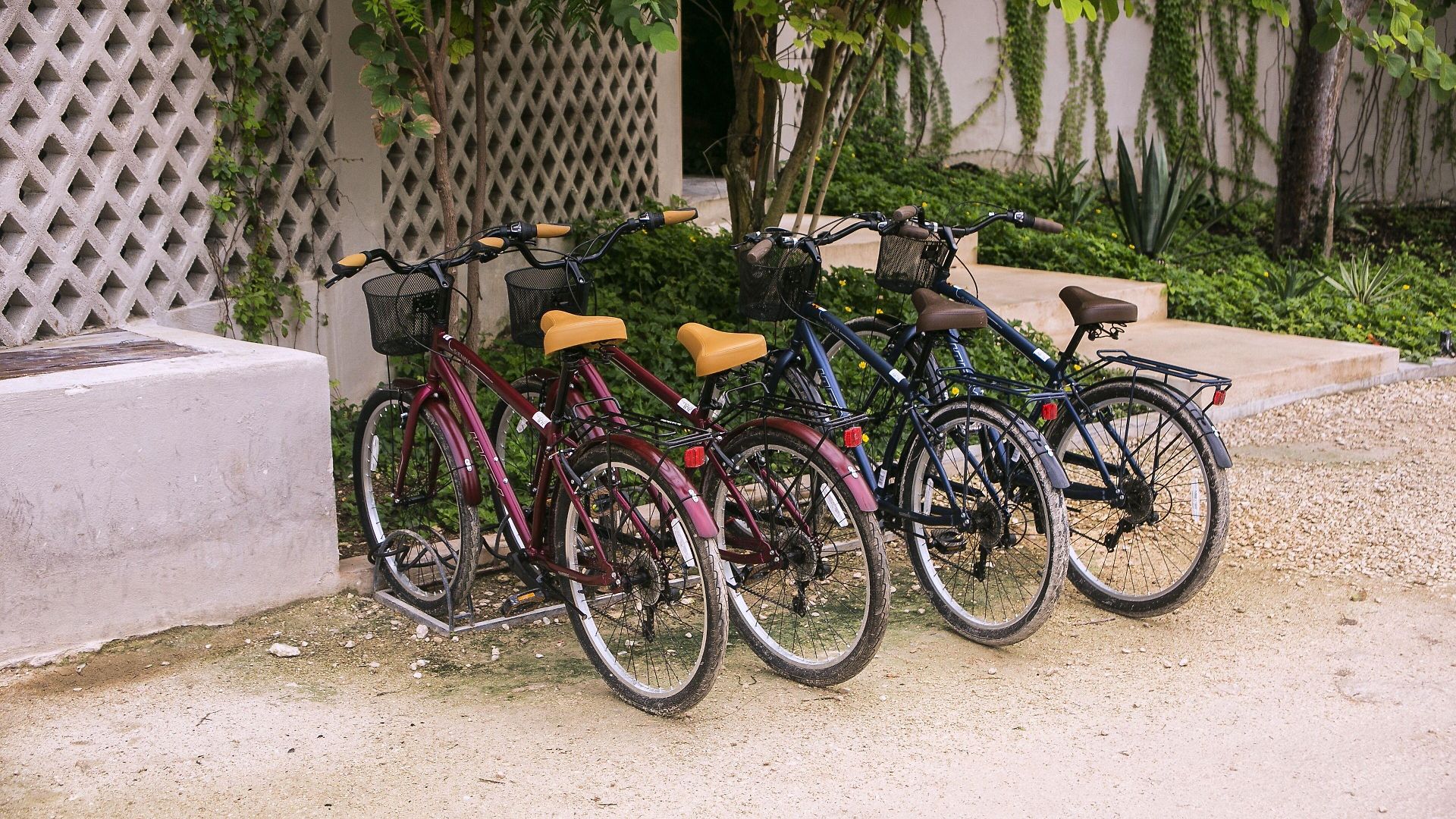 Hotel Alea