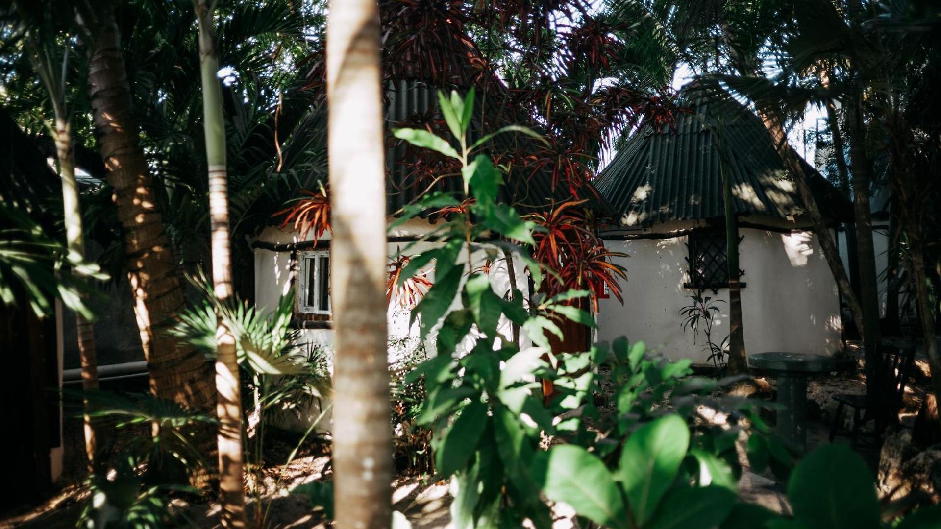 Hostal Oryx Tulum