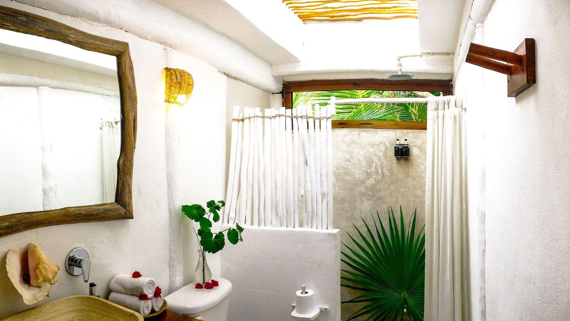 Casa Violeta 3*