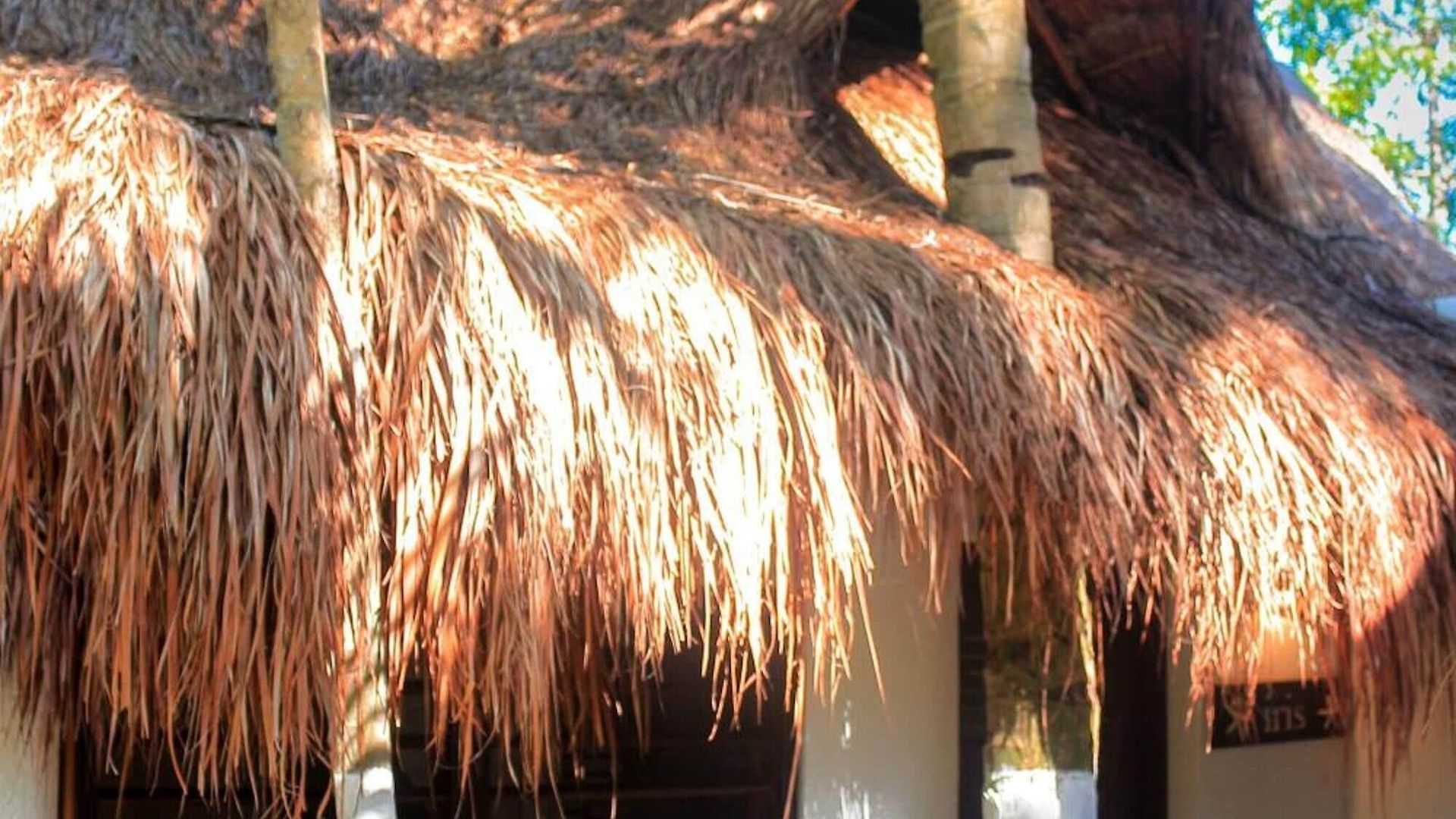 Casa Violeta