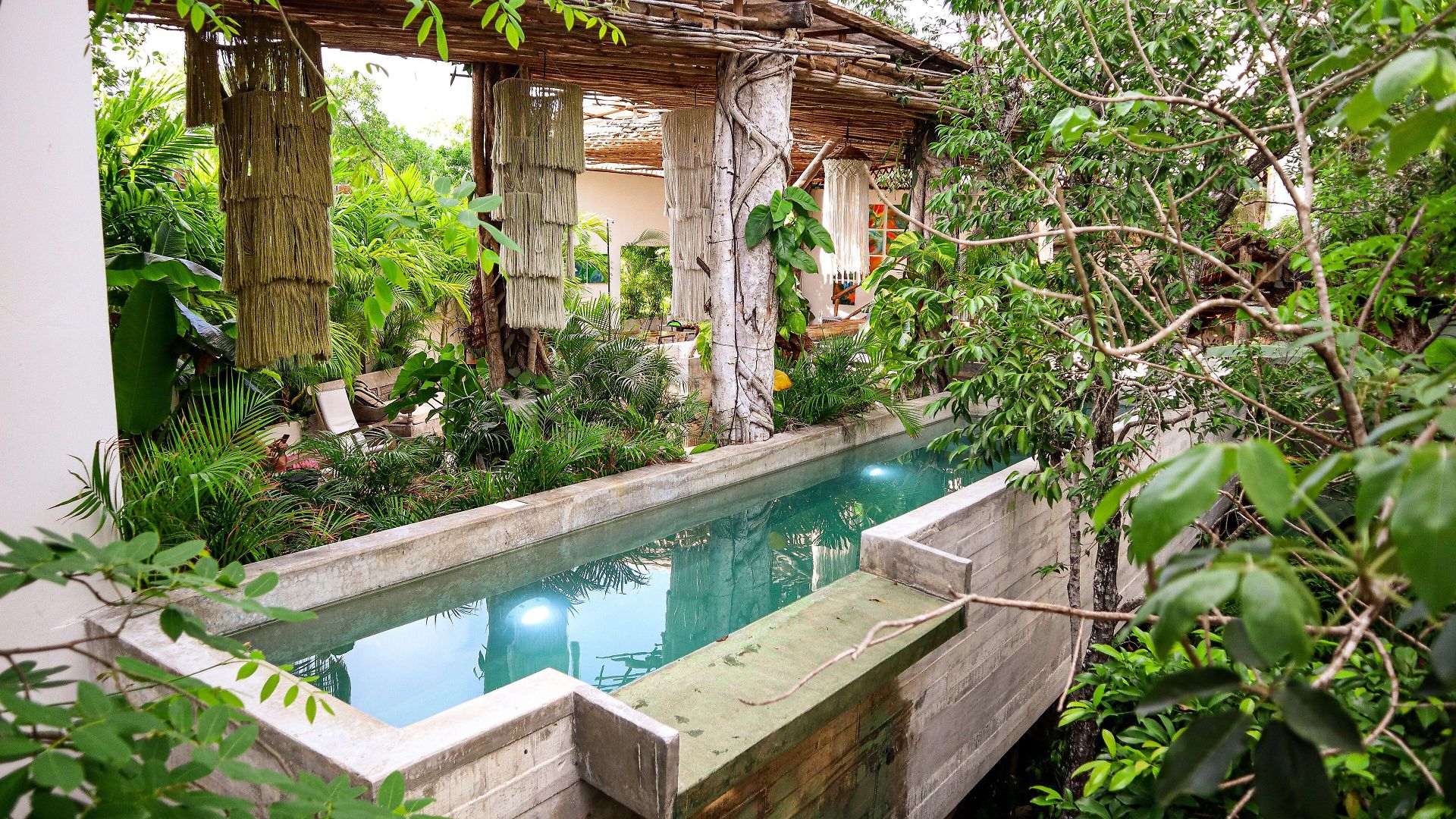 Hotel Orchid House Jungle 5*
