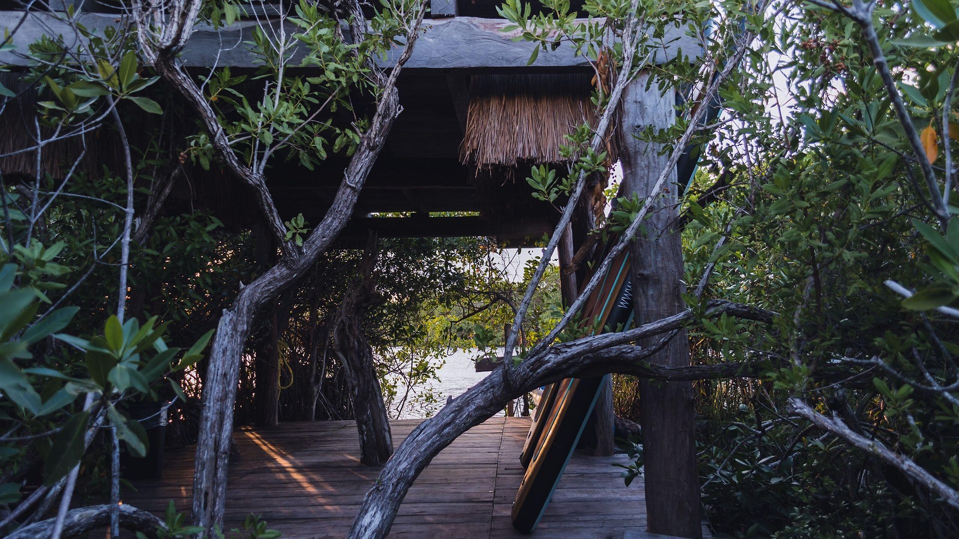 Hotel Nativus Glamping & Cenote Tulum