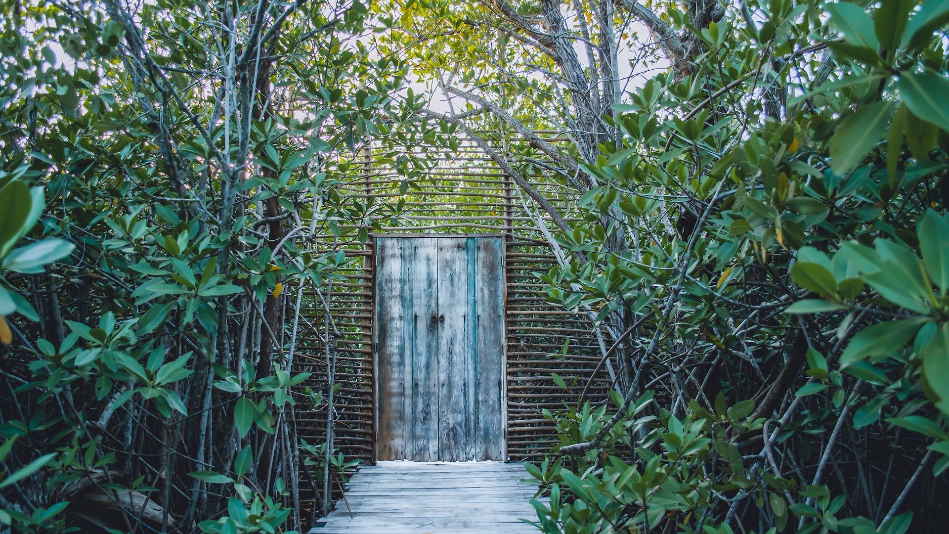 Nativus Glamping & Cenote Tulum