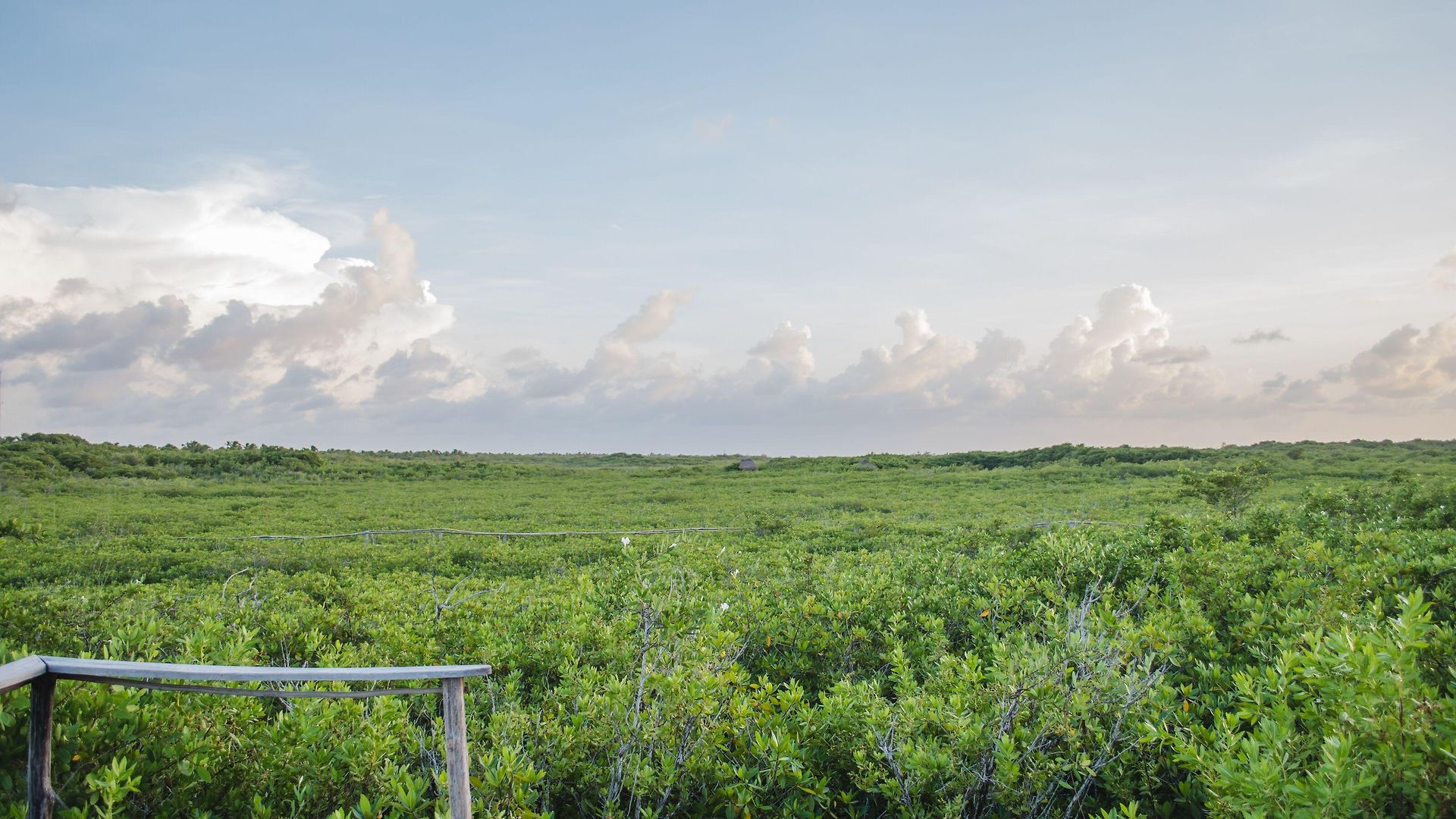 Nativus Glamping & Cenote 3*