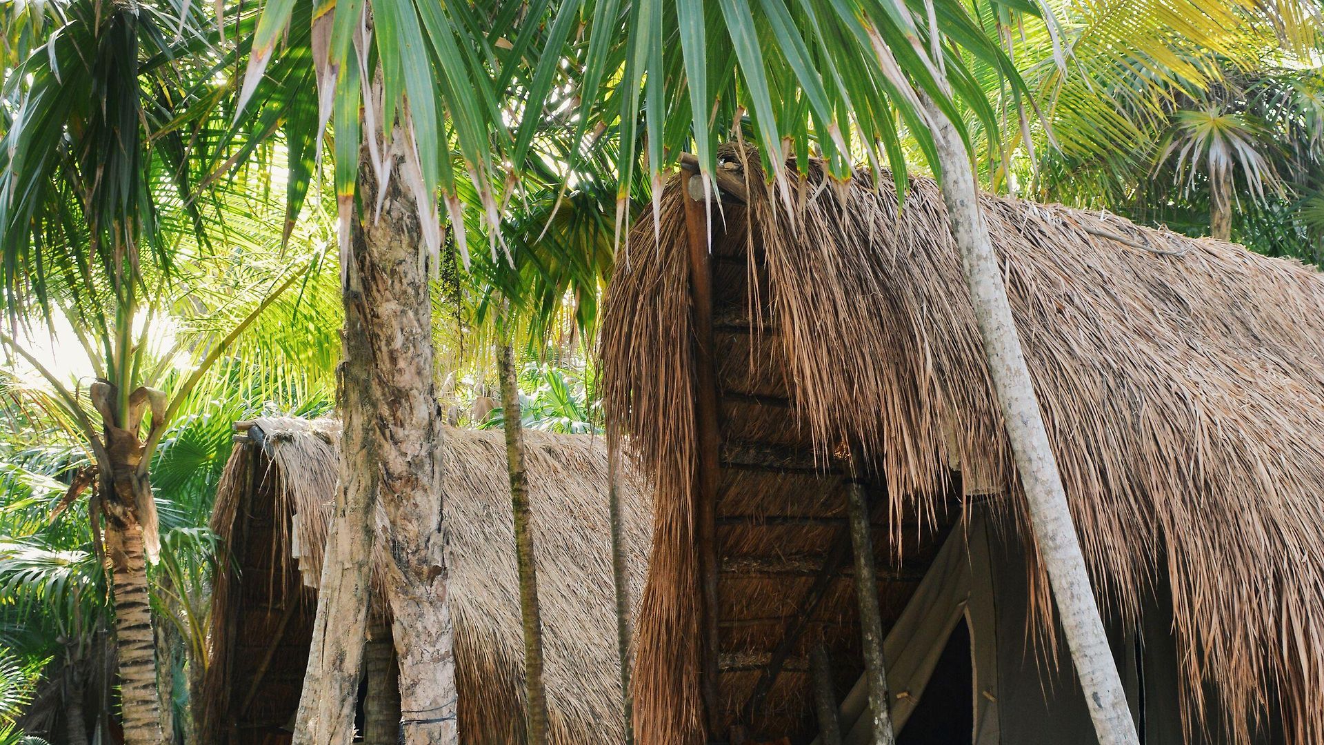 Hotel Nativus Glamping & Cenote 3*