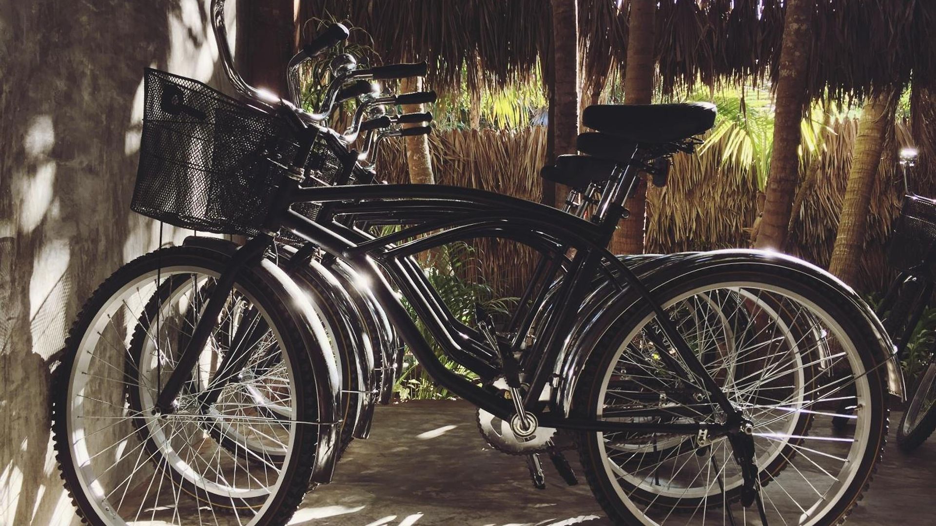 Nativus Glamping & Cenote 3*