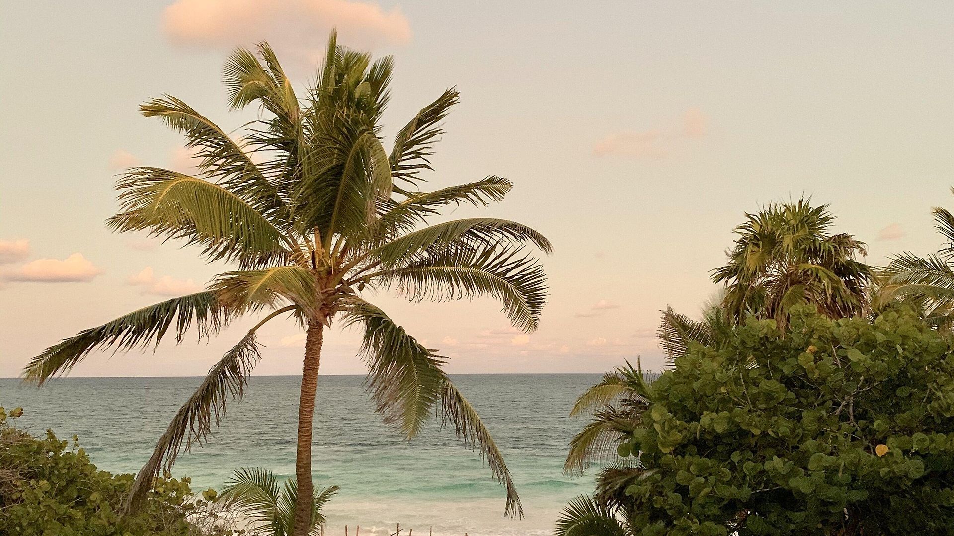 Libelula Beachfront 4* Tulum