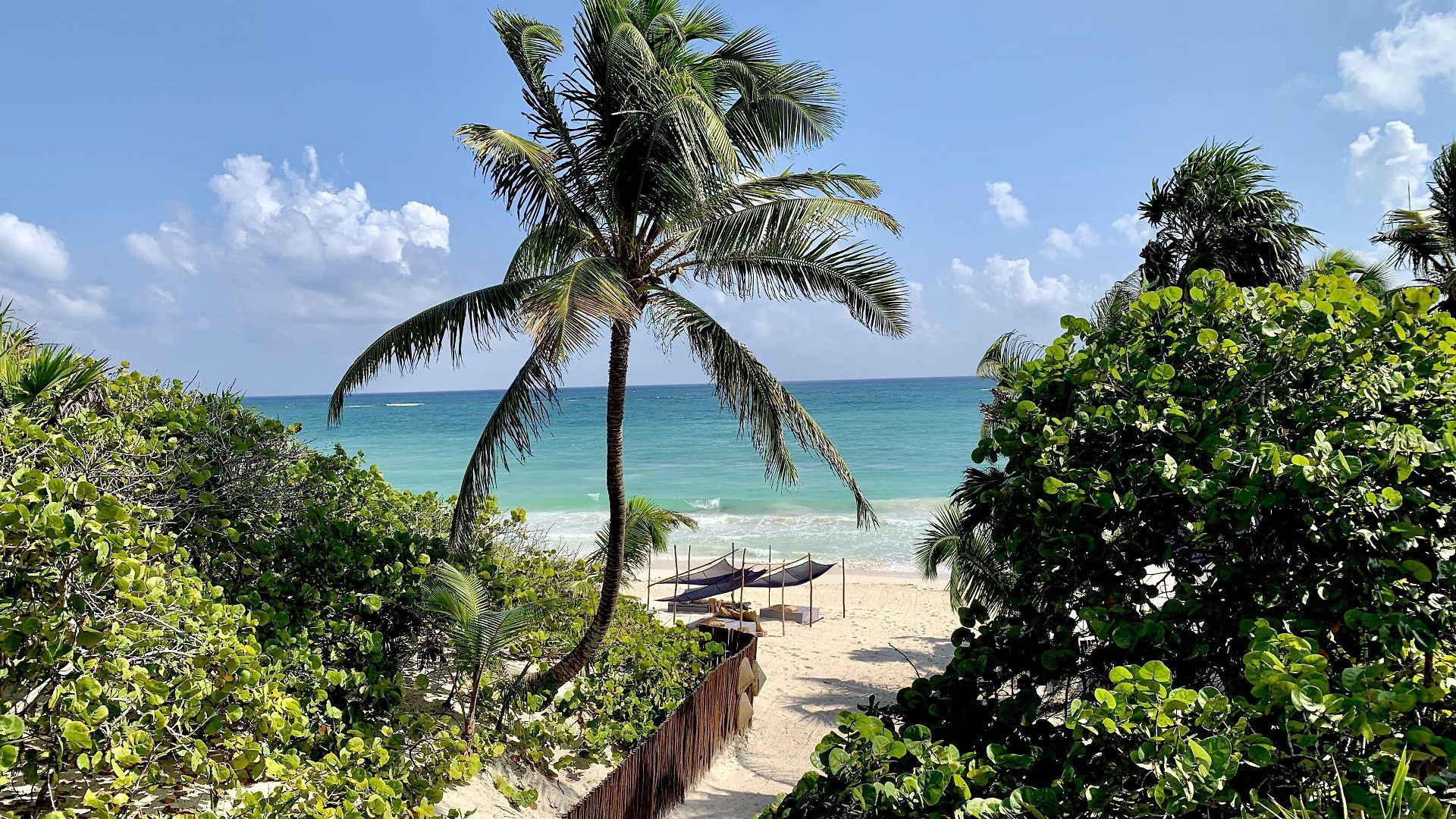 Libelula Beachfront 4* Tulum