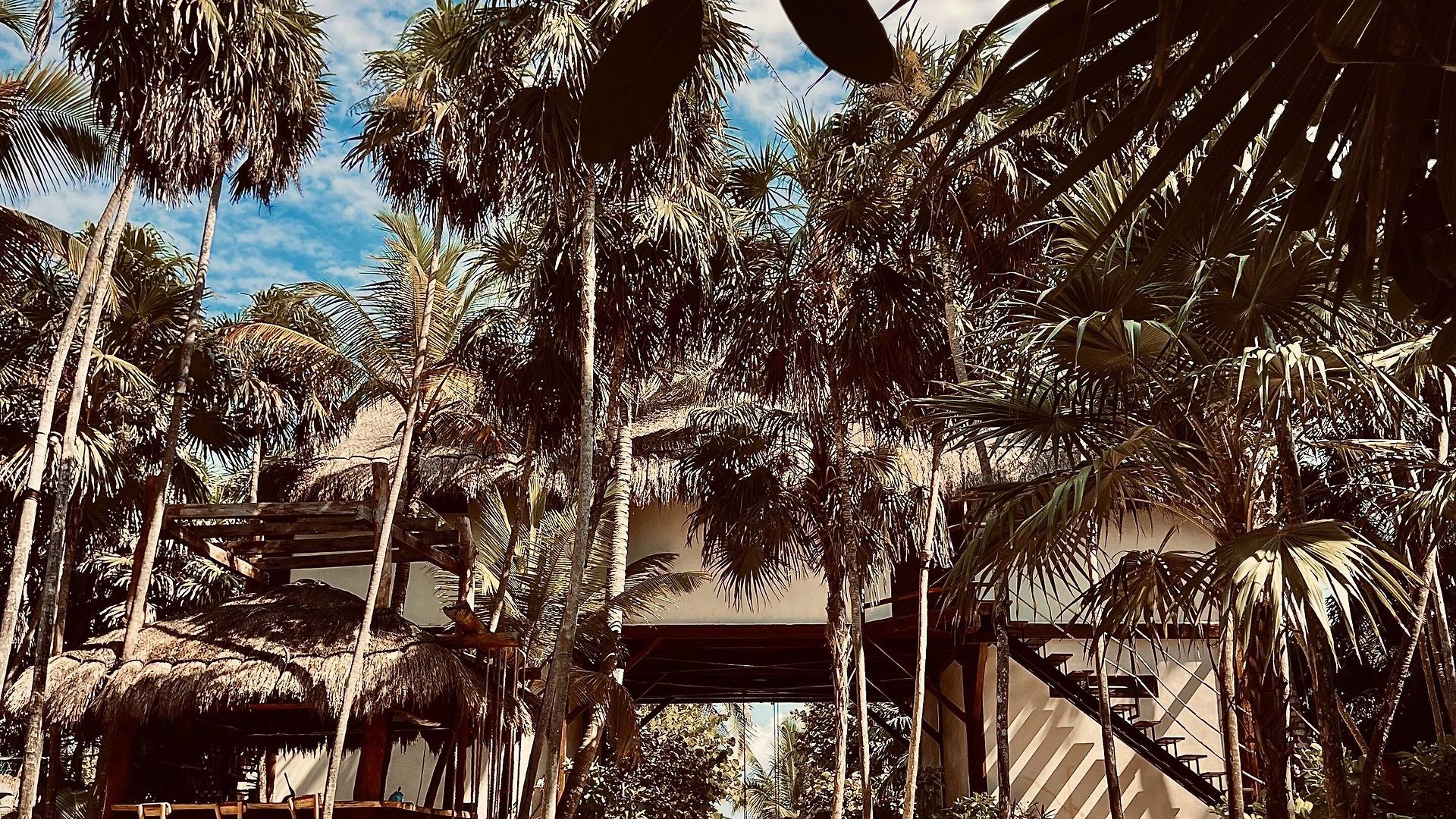 Hotel Libelula Beachfront Tulum