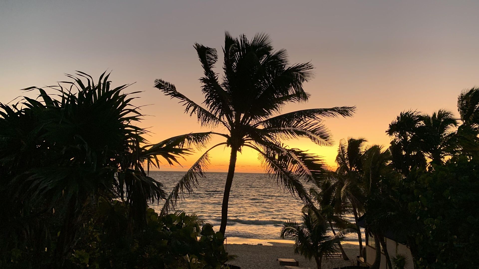 Hotel Libelula Beachfront