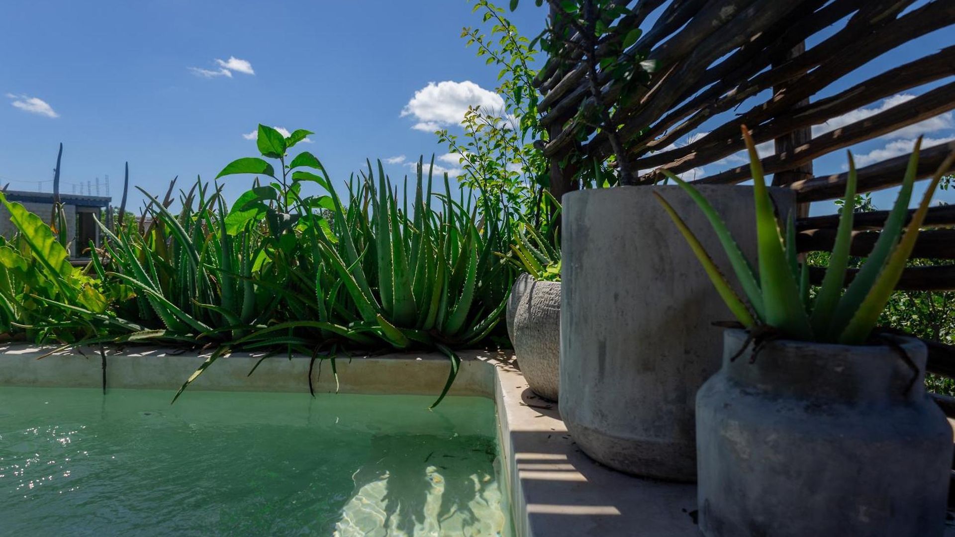 Teva Tulum, Aldea Zamá Apartamento
