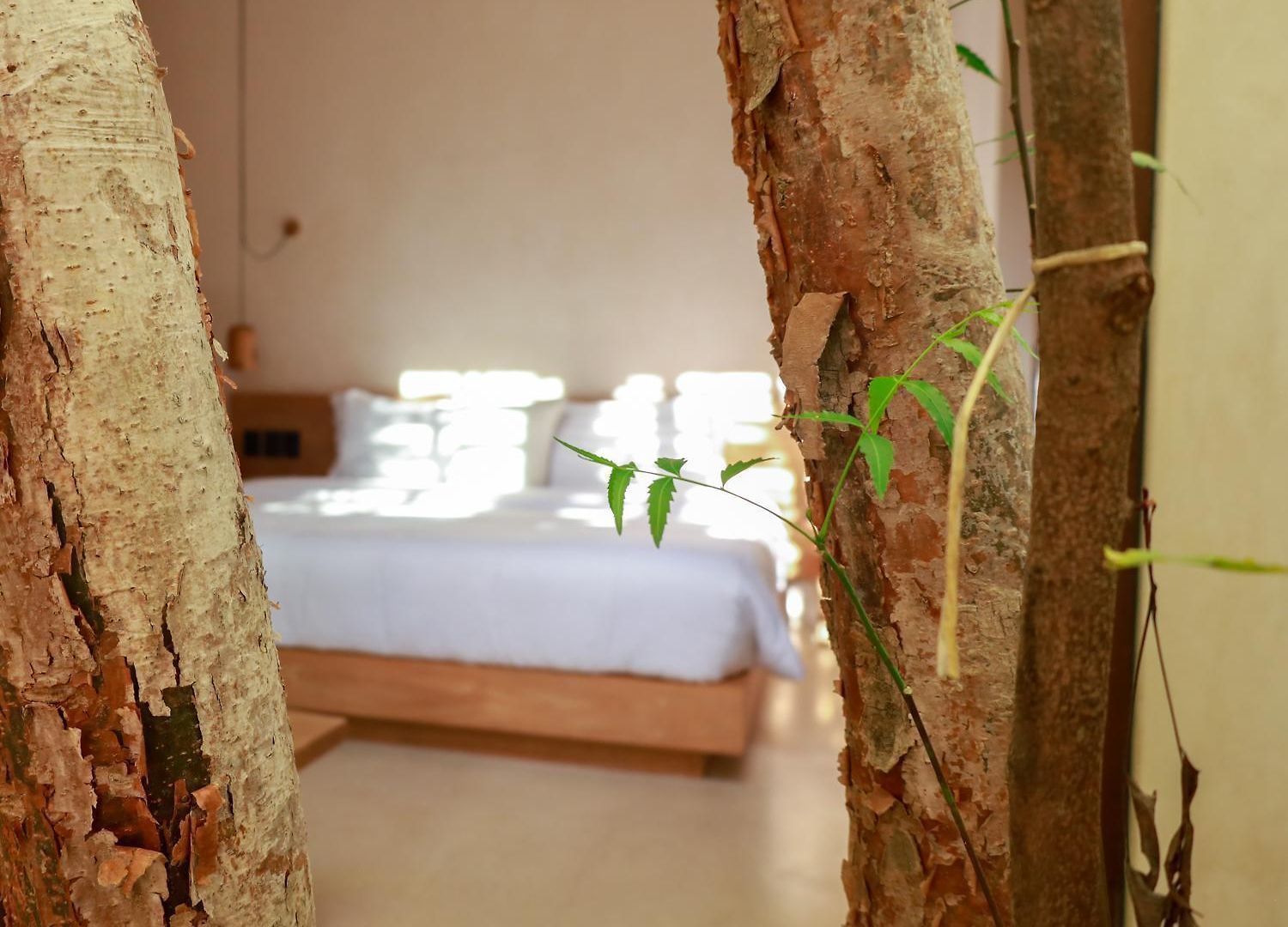 Teva Tulum, Aldea Zamá