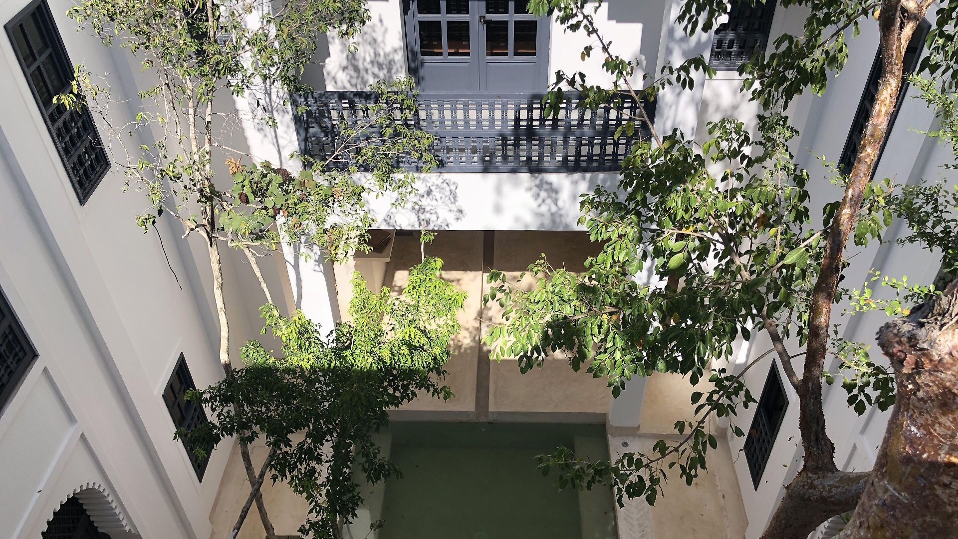 Hotel Ambre & Epices Jungle &