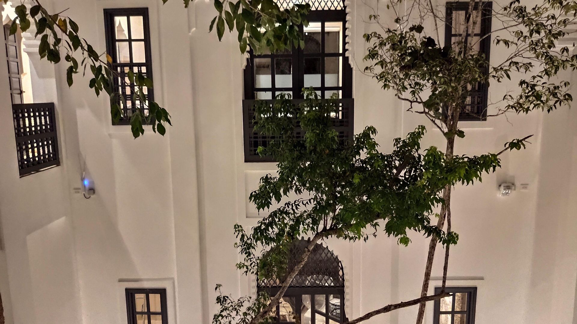 Ambre & Epices Jungle & Hotel 4*