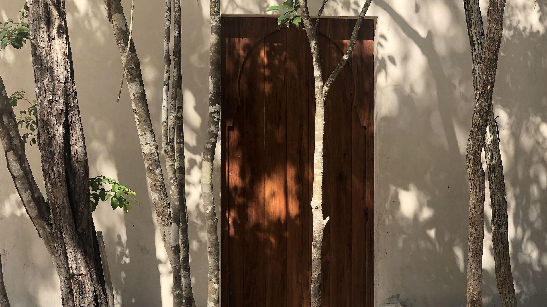 Hotel Ambre & Epices Jungle & Tulum