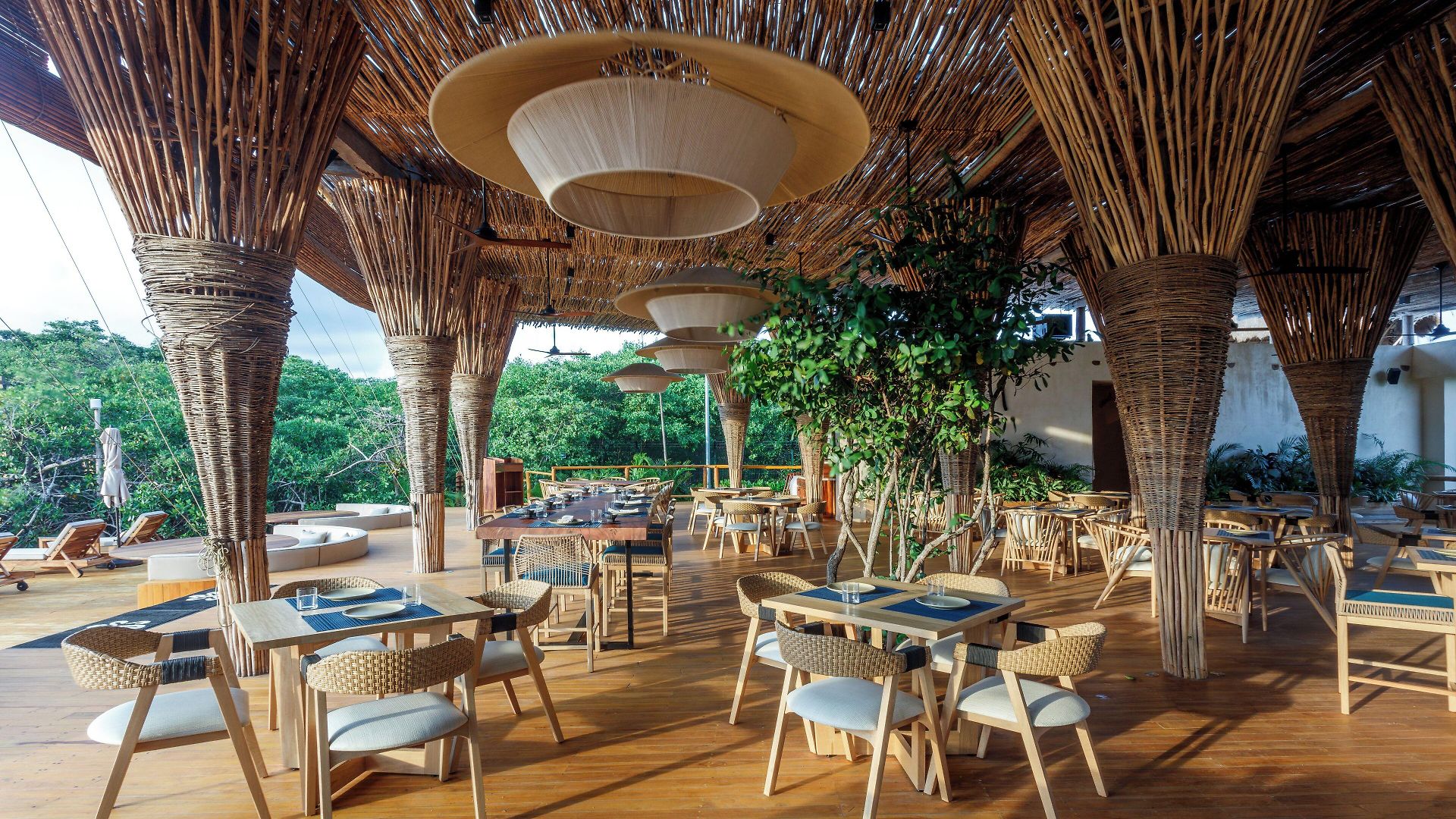 Shibari - Restaurant & Cenote Club