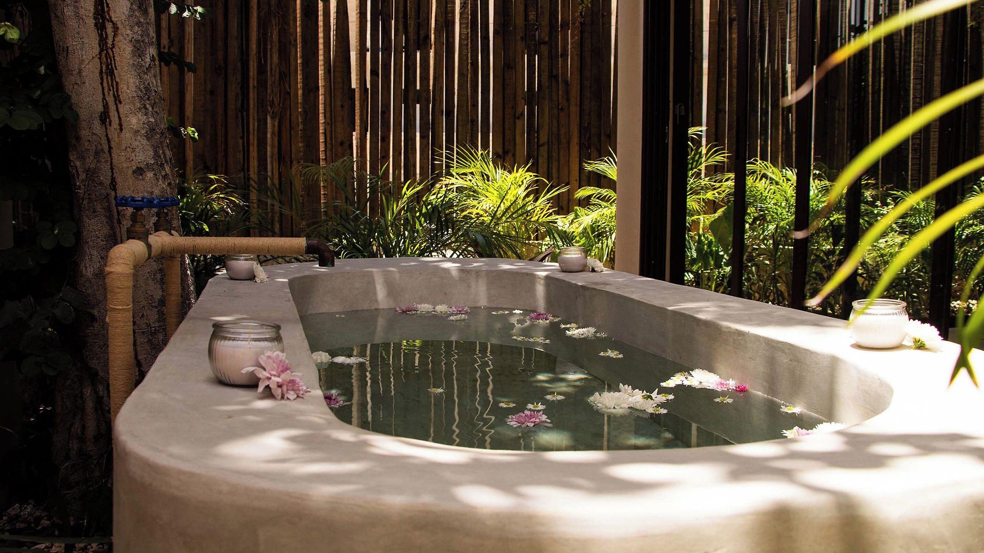 Collection O Faisano Boutique Hotel, Spa, Transportation, & Tours, (adults Only) Hotel Tulum