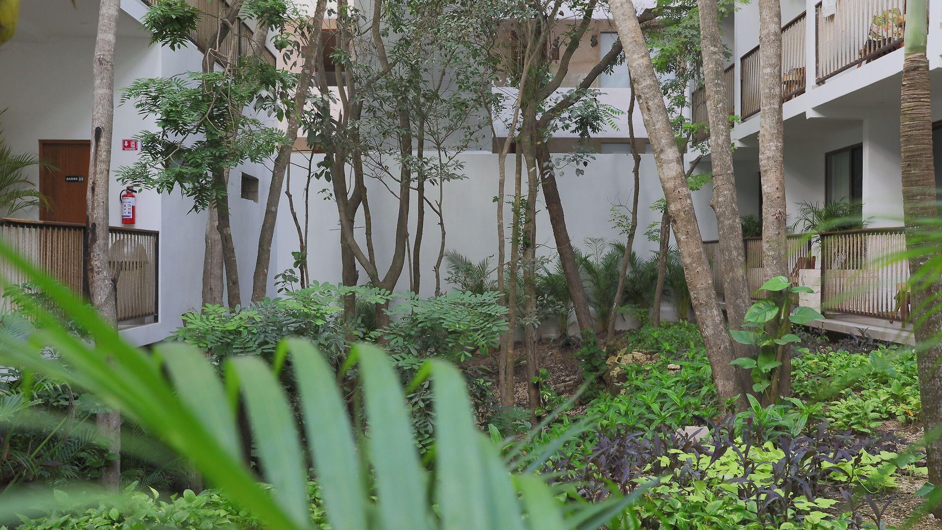 Blanco 3* Tulum