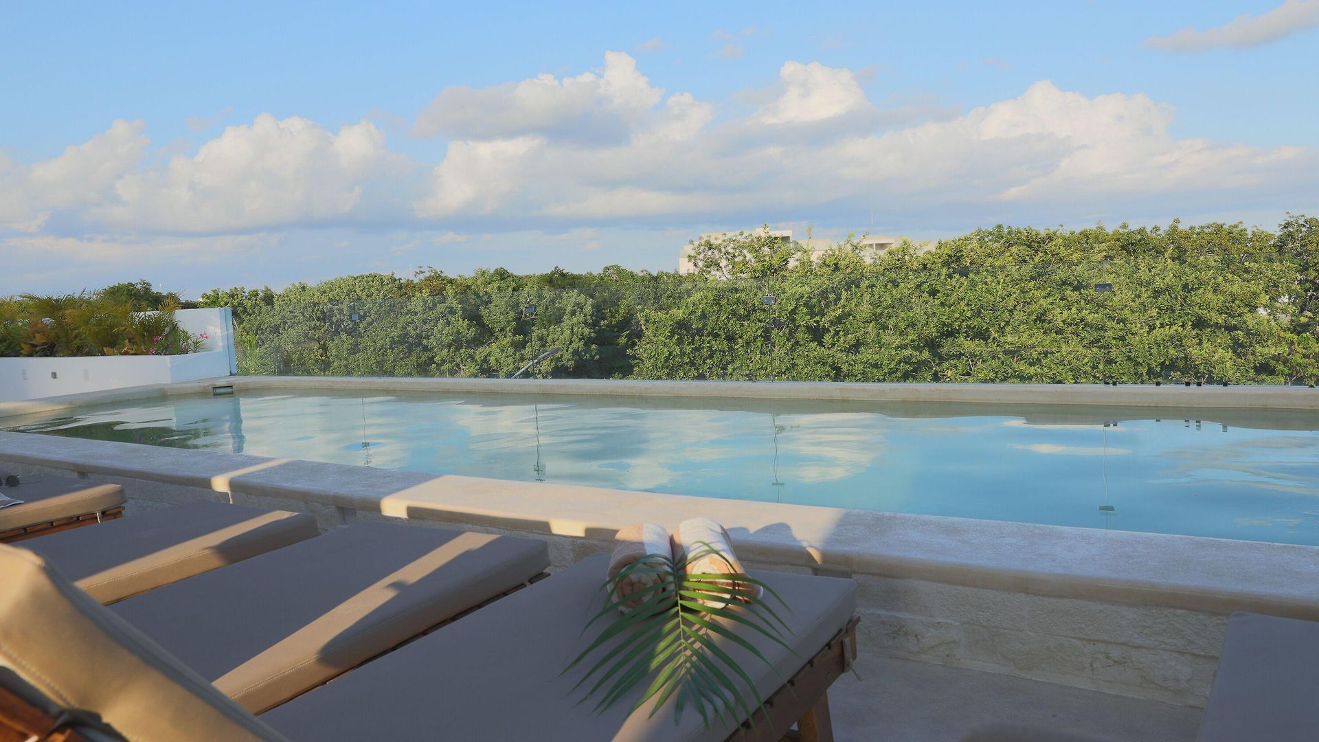 Hotel Blanco