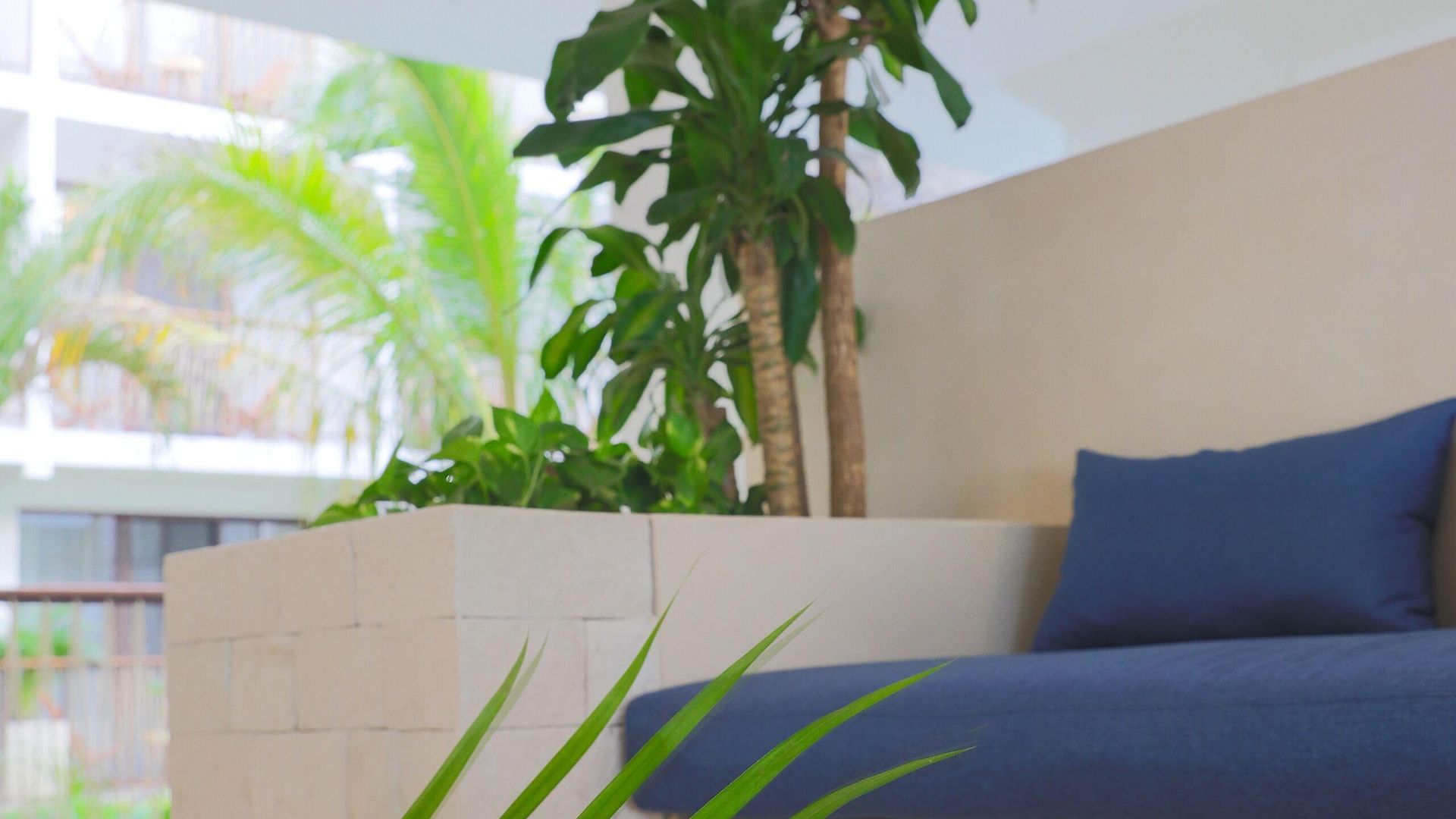 Hotel Blanco Tulum