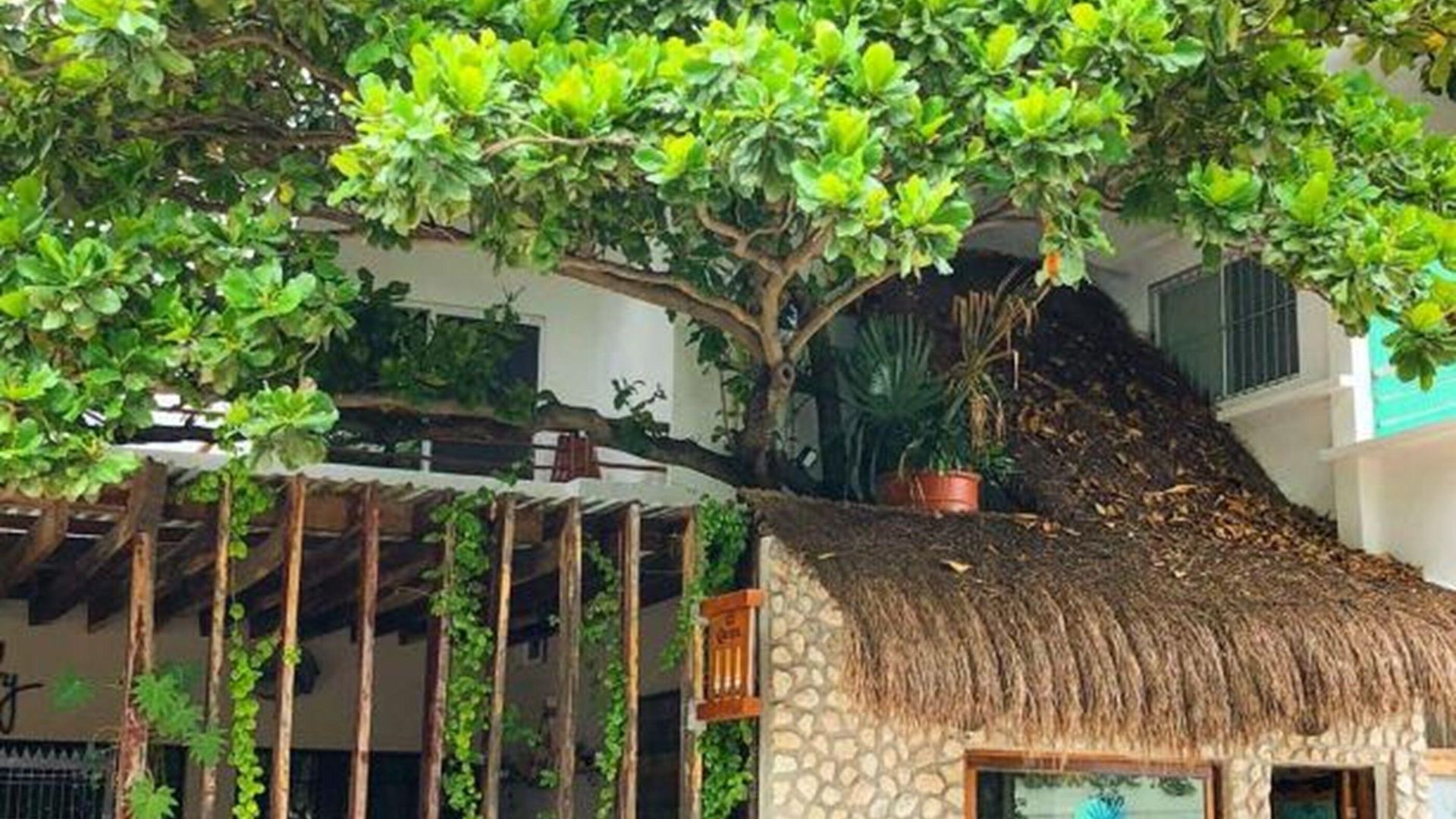 La Palmita By Mij Hotel 3*