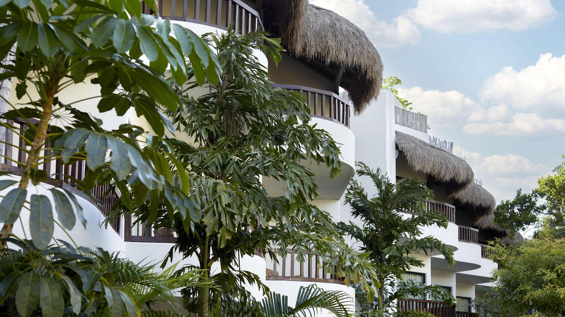 Aluna Hotel 5*