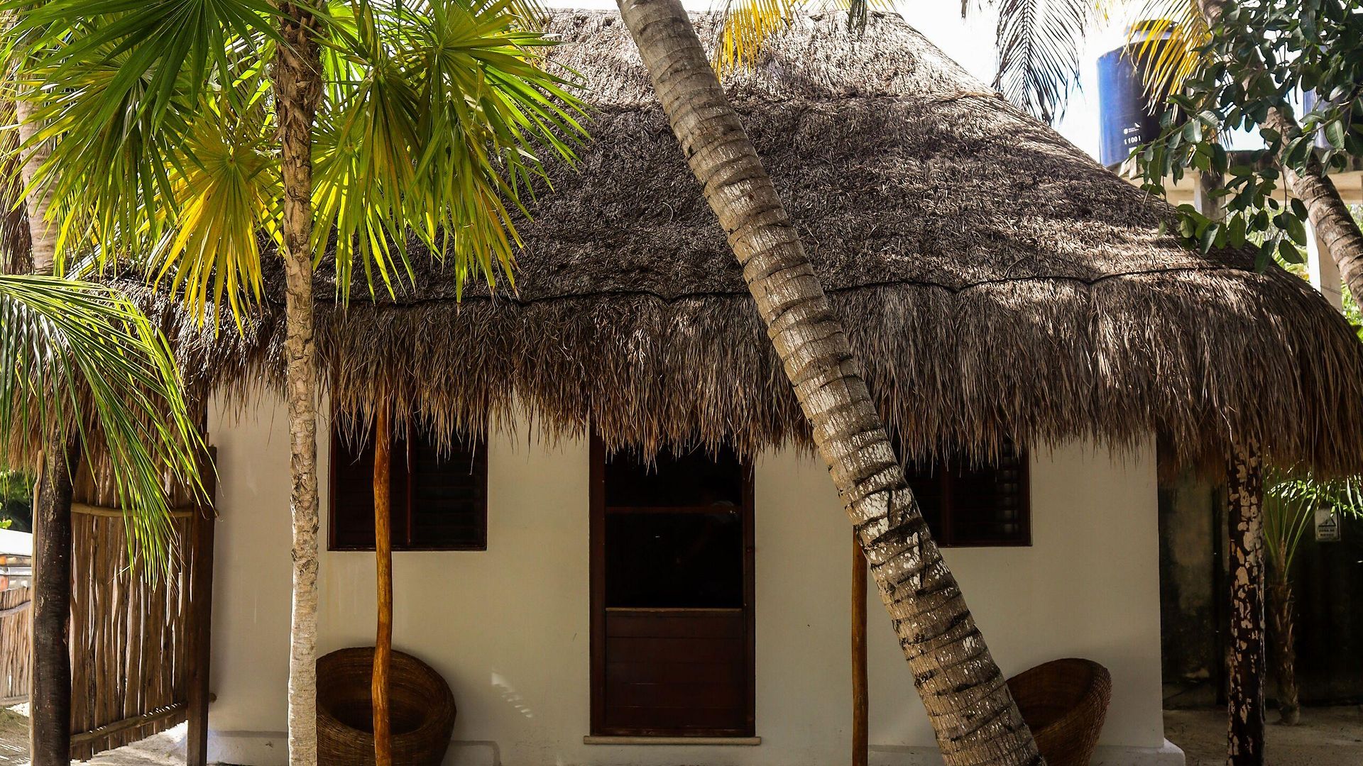 Alito Hotel Tulum