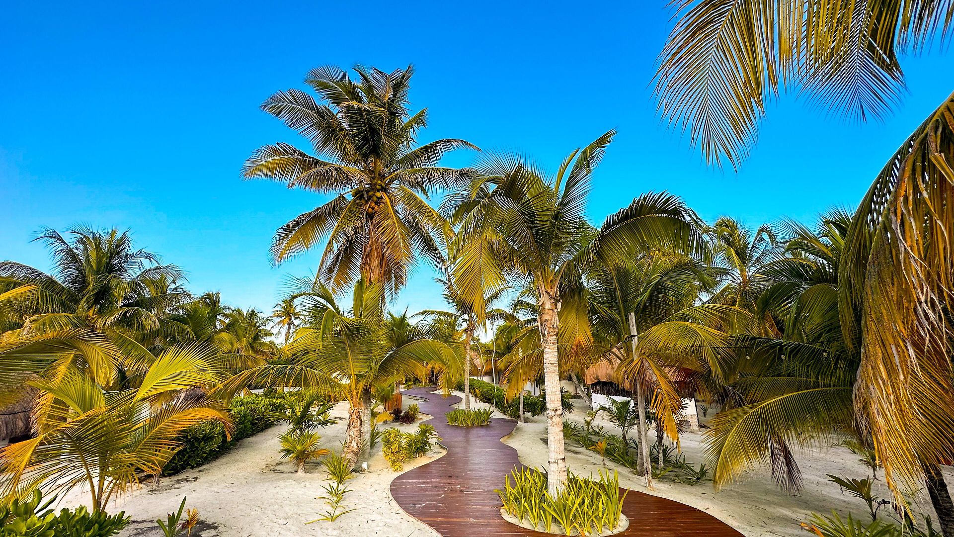 Hotel Alito Tulum