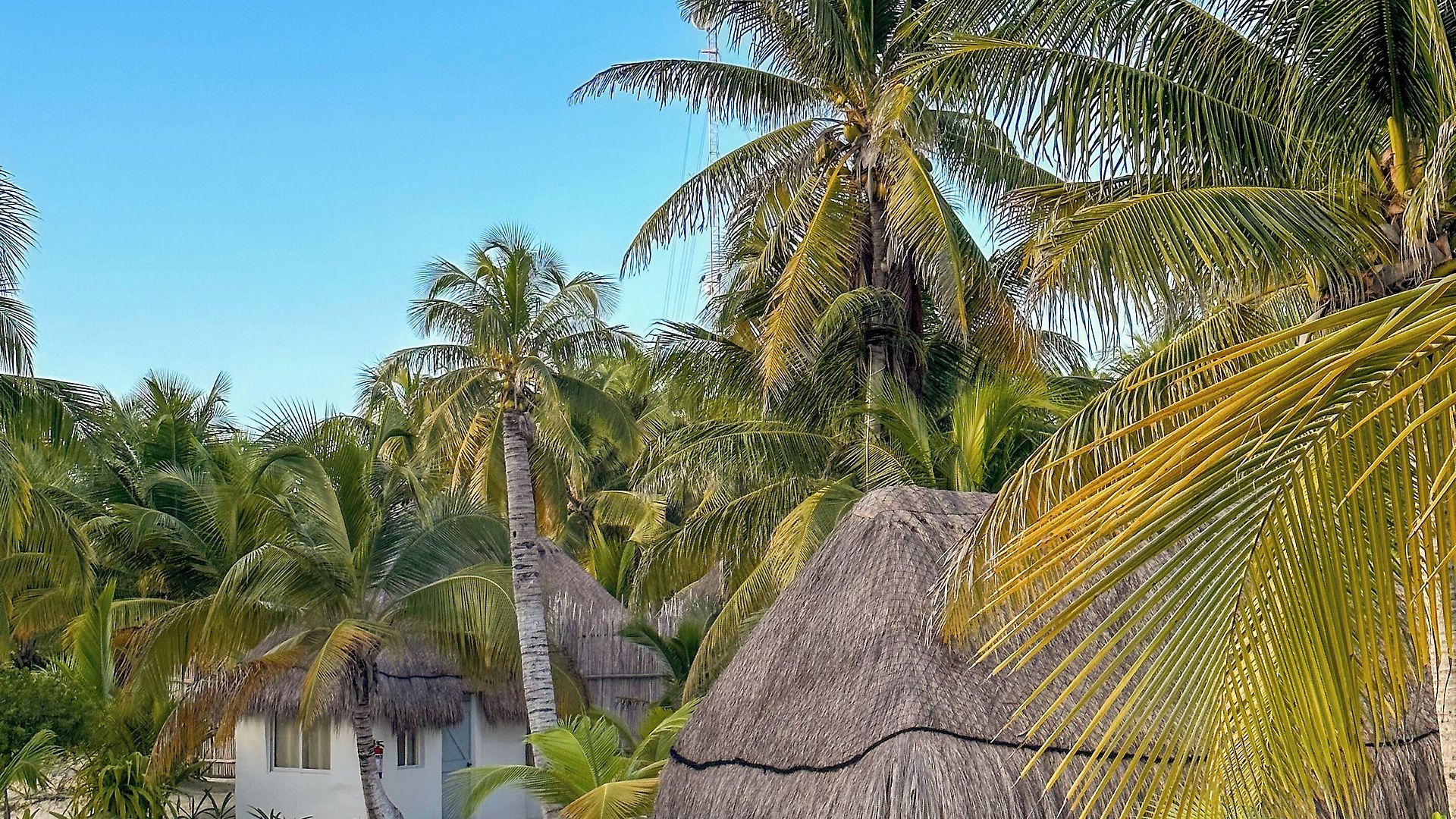 Alito Hotel Tulum