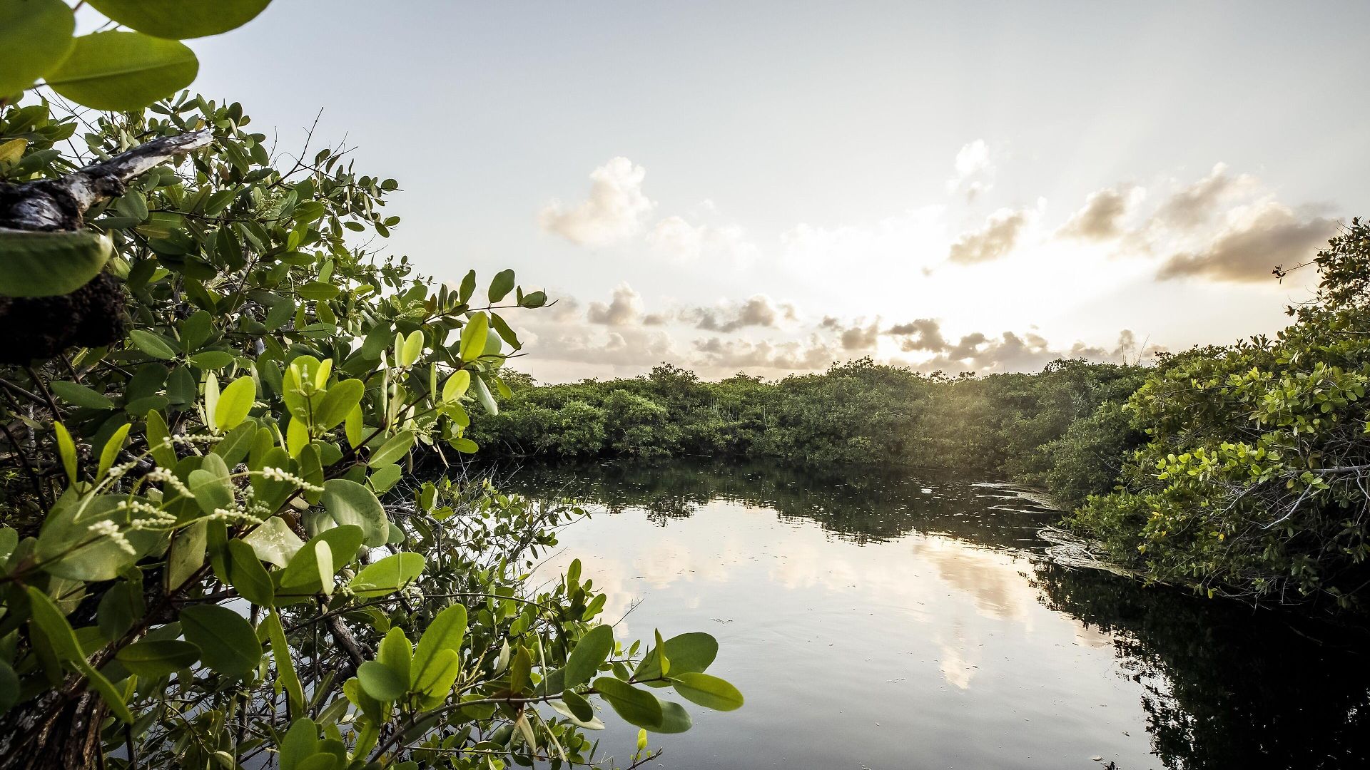 Casa Teka - Boutique & Cenote Tulum