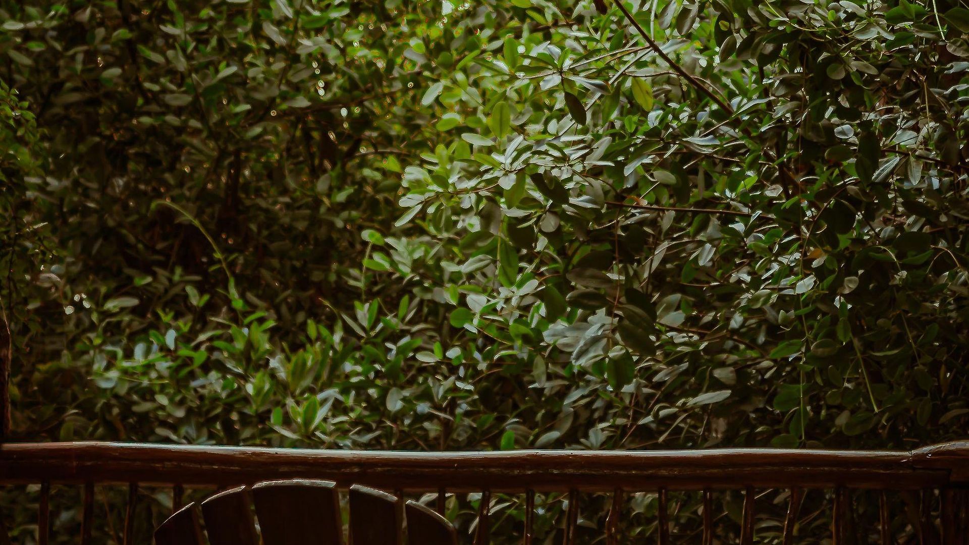 Casa Teka - Boutique & Cenote