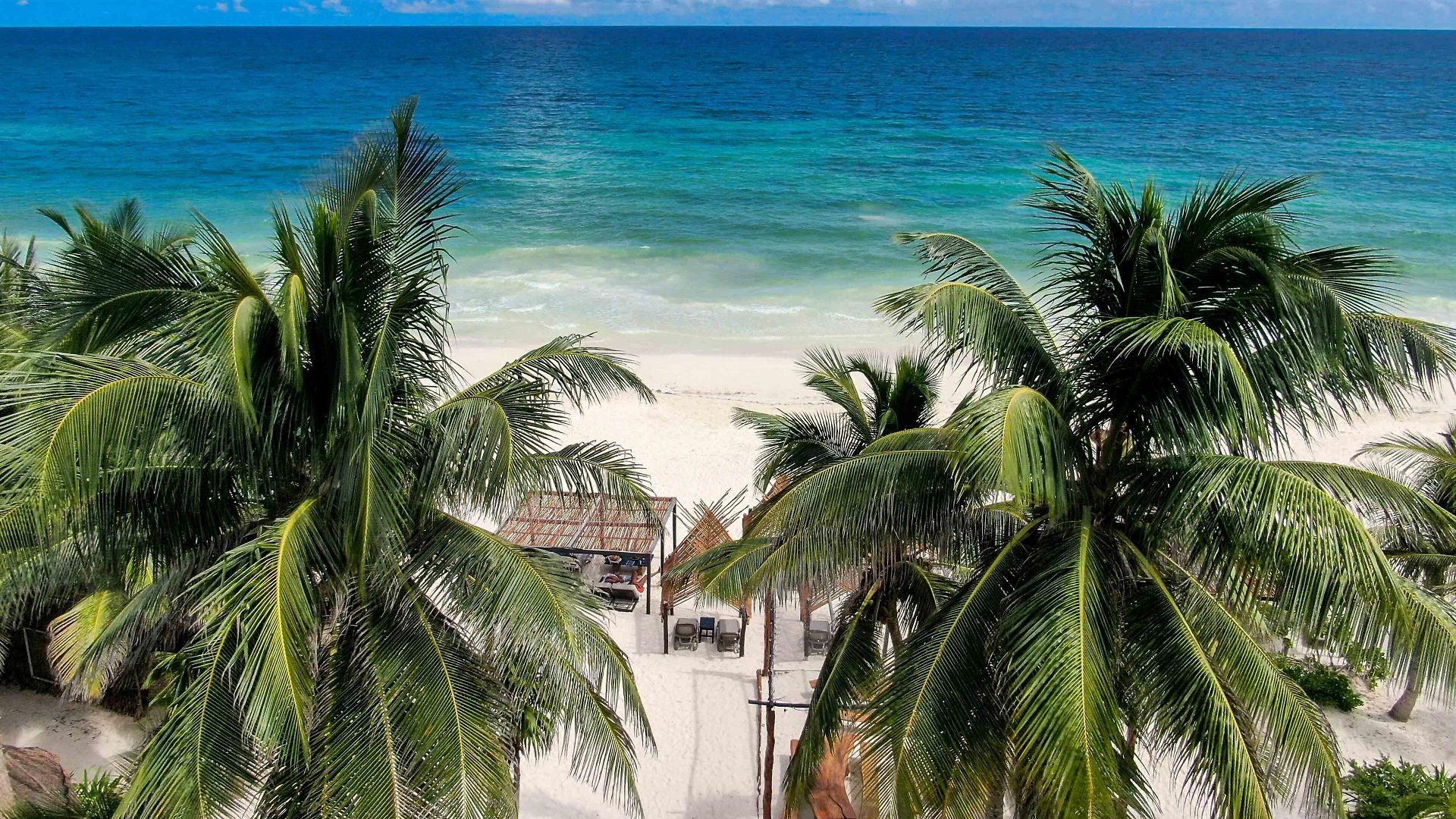 Bt Live Located At The Party Zone 4* Tulum