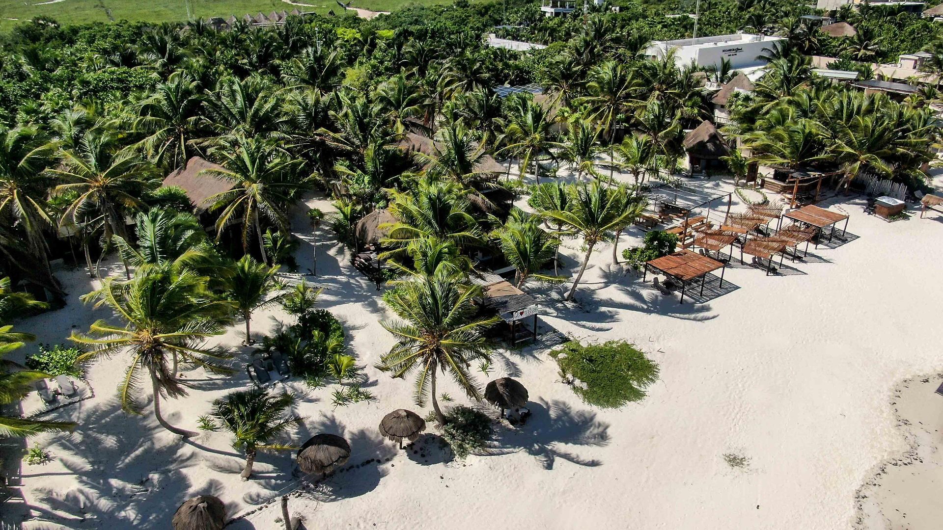 Bt Live Located At The Party Zone 4* Tulum