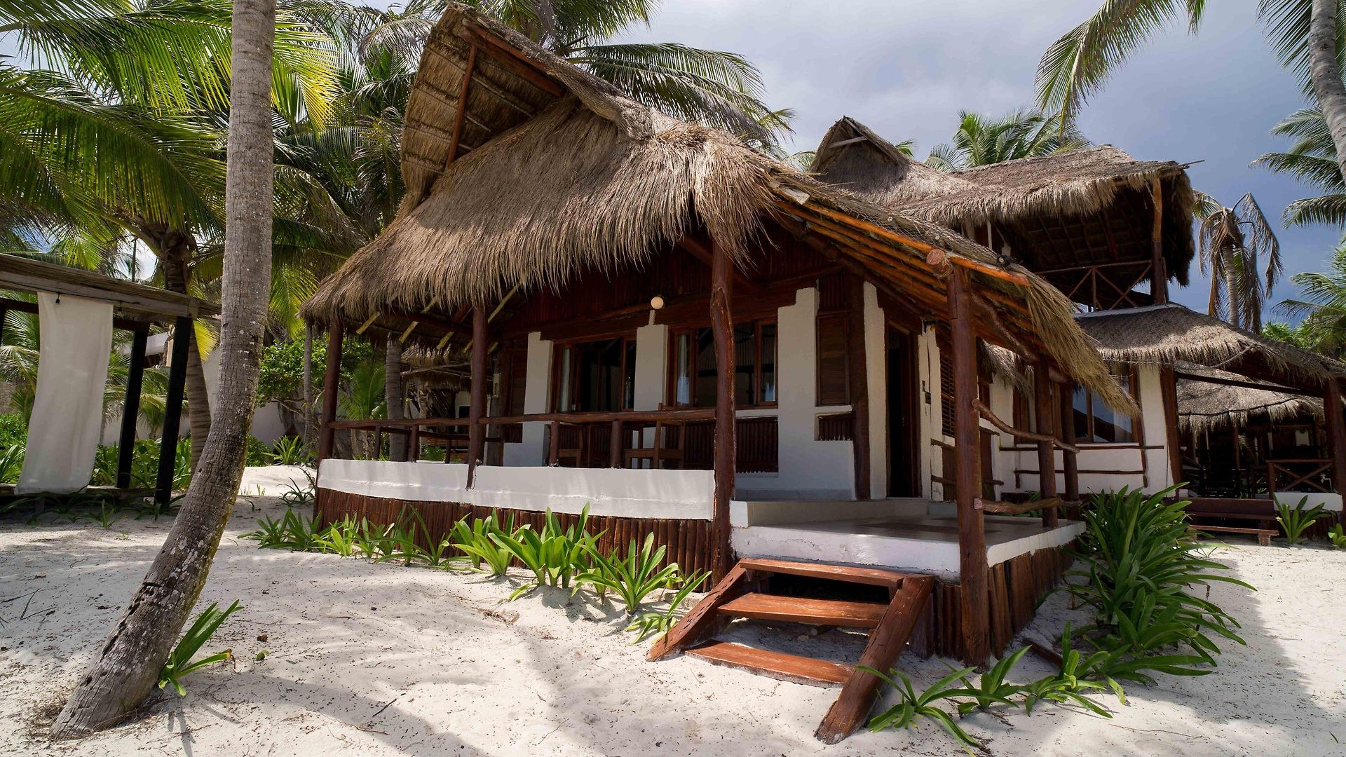 Bt Live Located At The Party Zone 4* Tulum