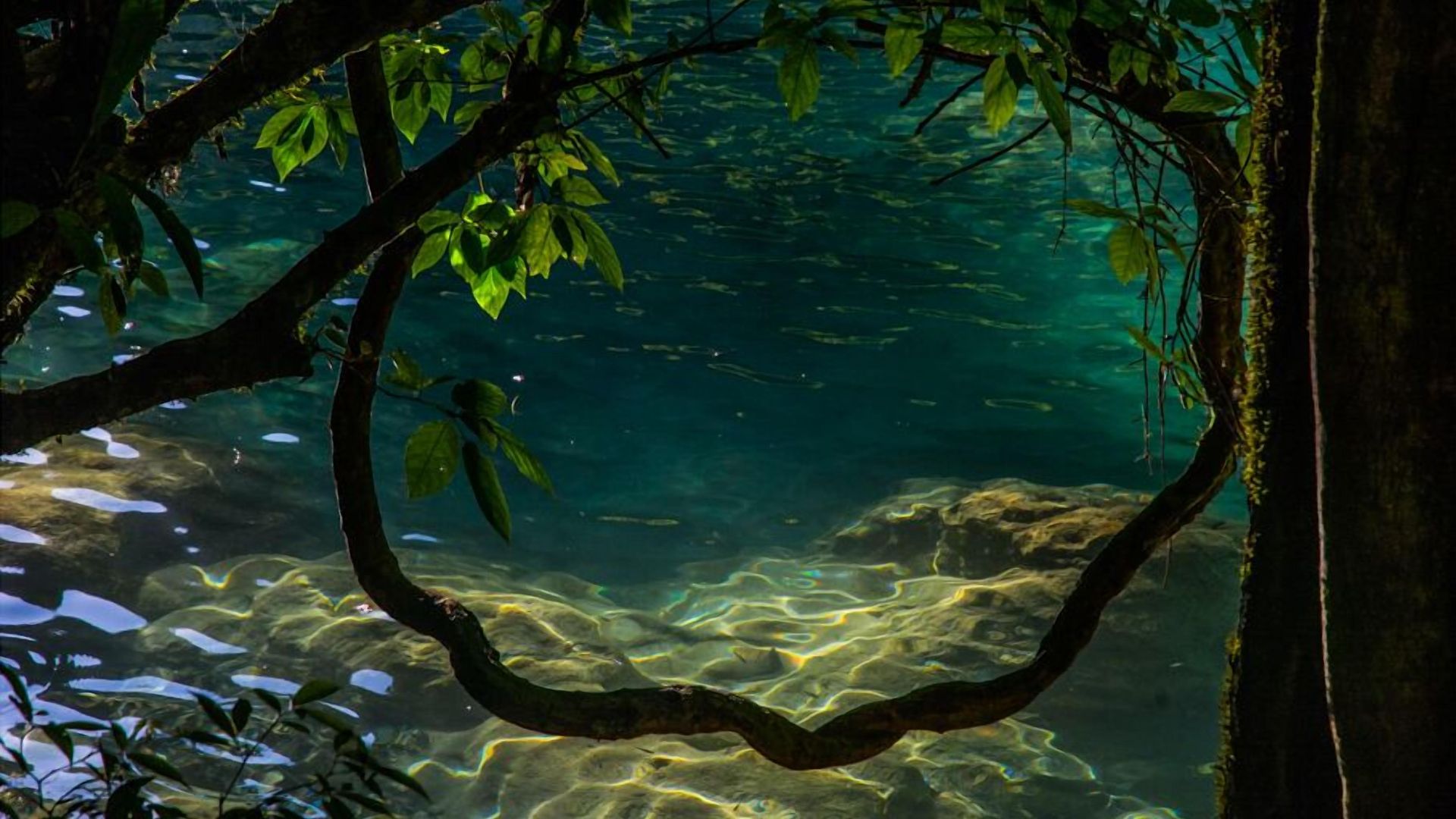 Hotel Prana Boutique Tulum