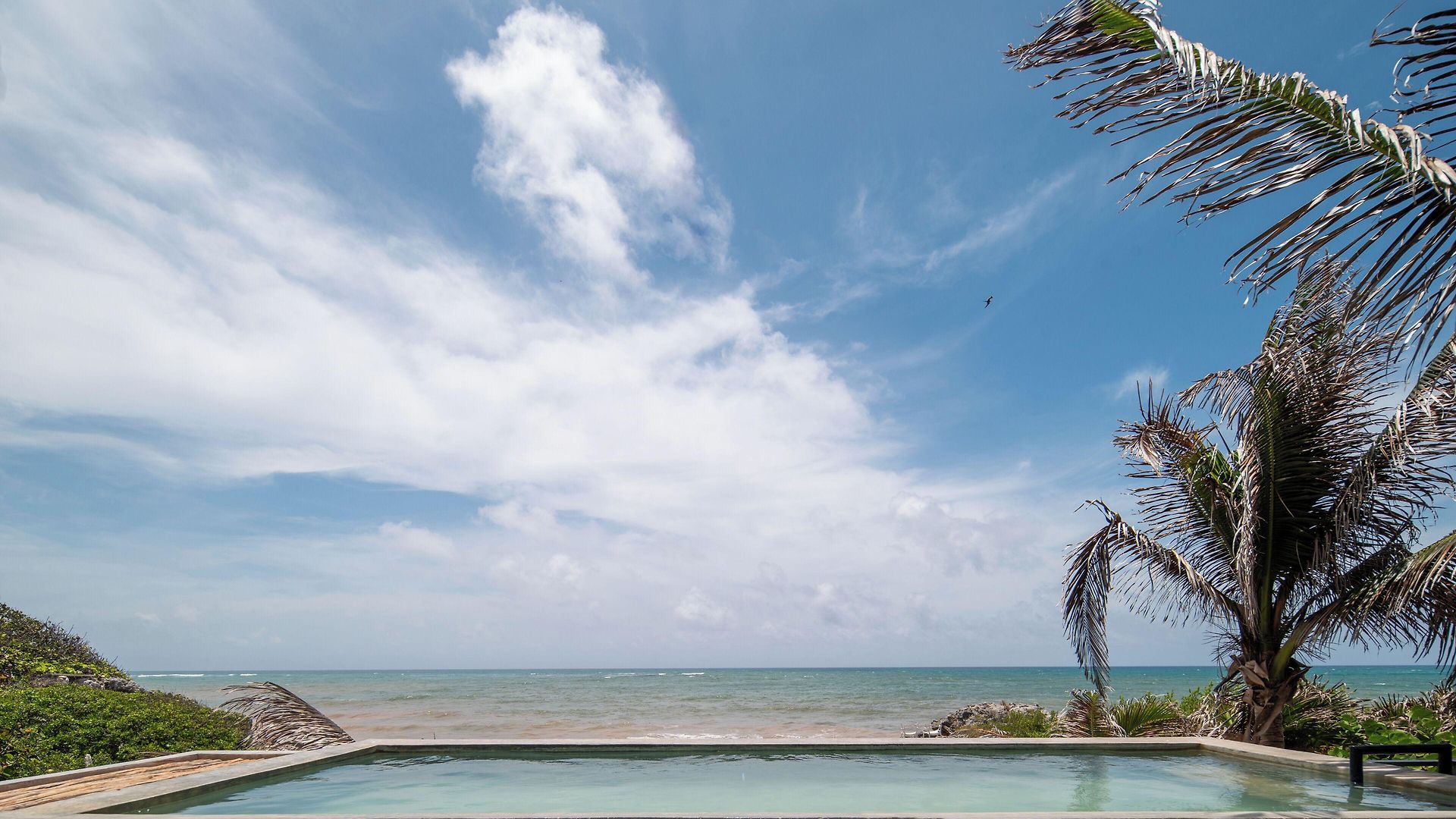 Tropicalito *