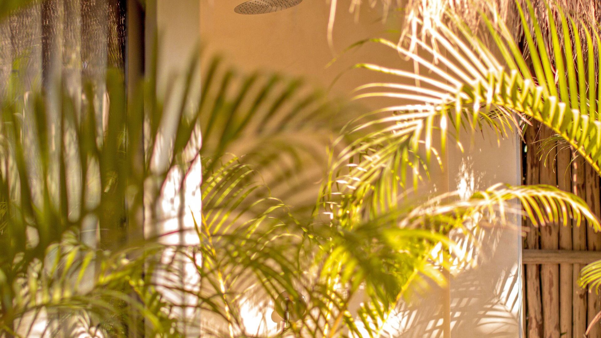 Muaré Wellness&spa Tulum