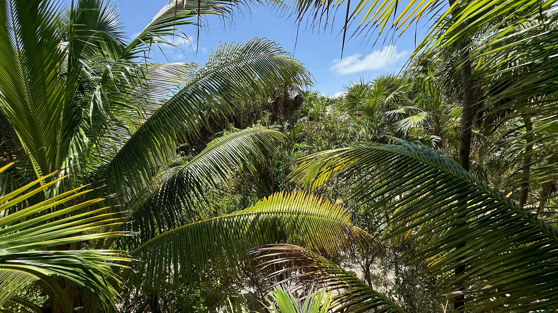 Casa Gitano Hotel Tulum