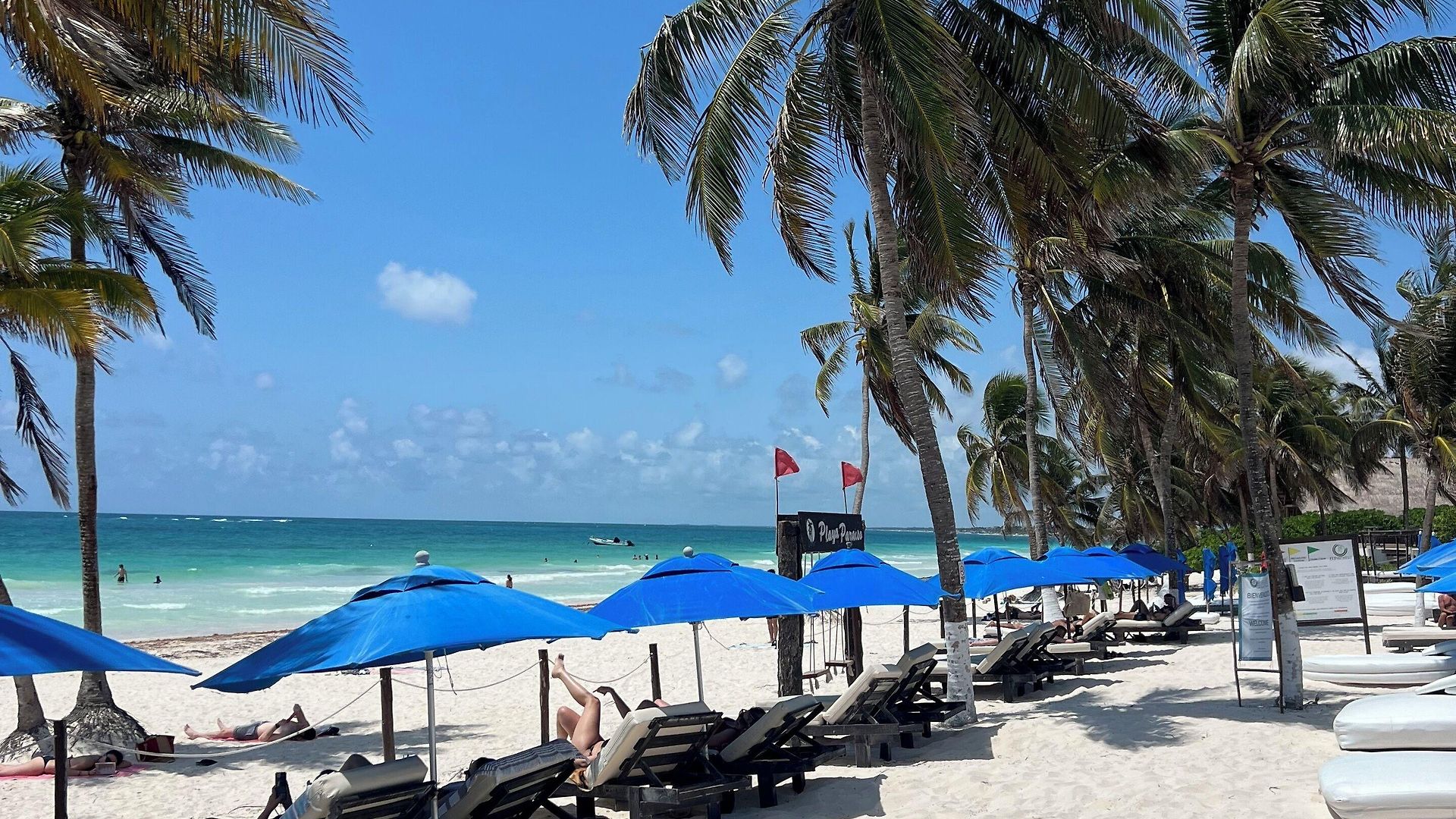 El Paraiso 4*