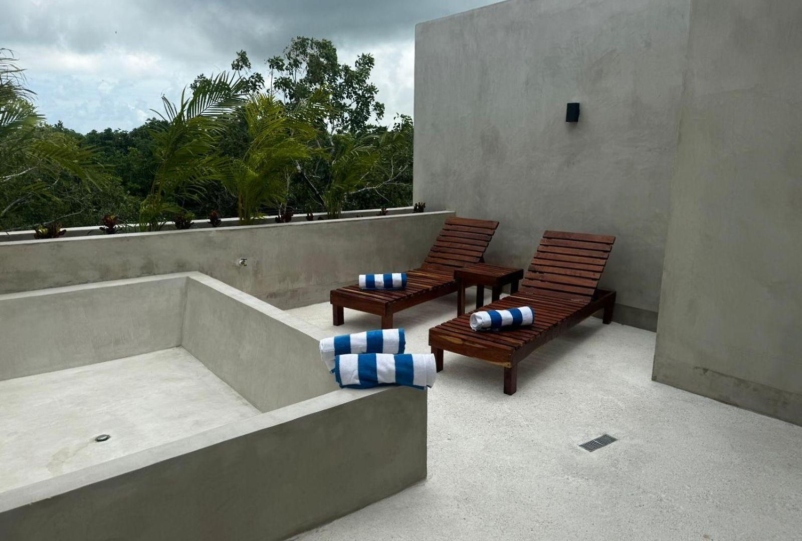 Luxury Penthouse With Private Plunge Pool In