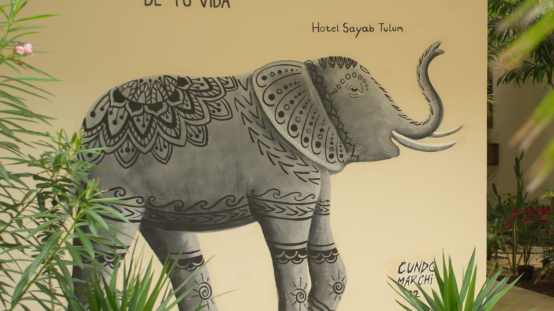 Hotel Moonshine & Tulum