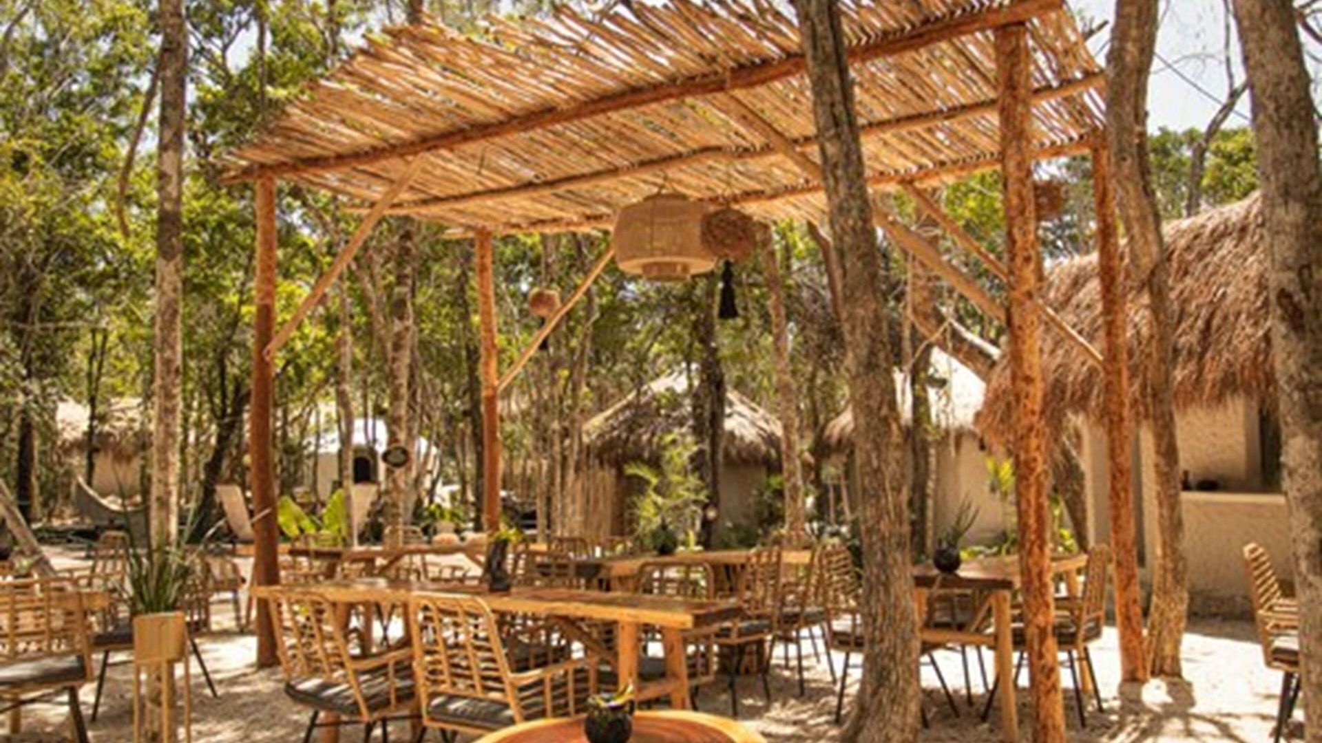The Yellow Nest 5*